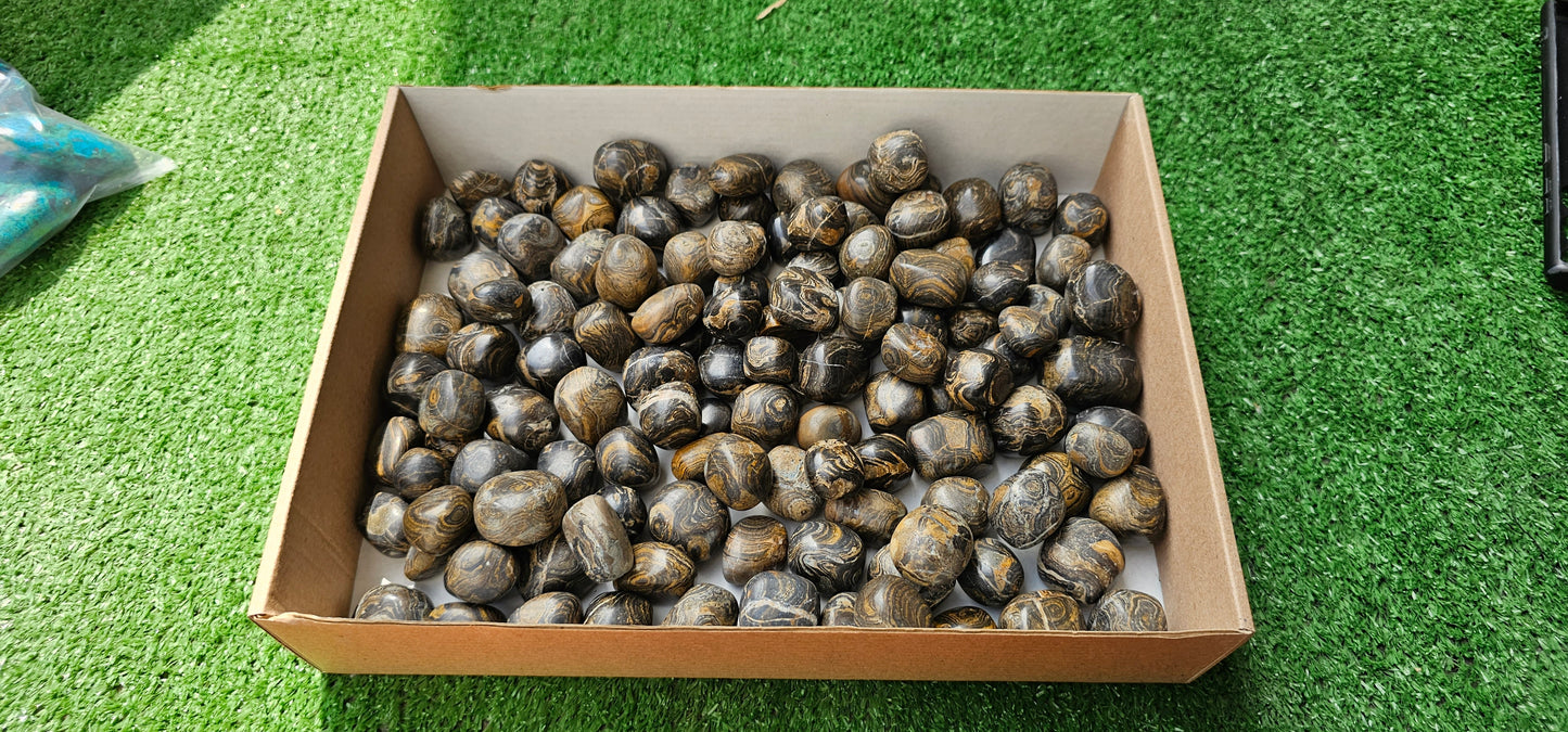 Lot 2.5 kg Tumbled Stromatolite