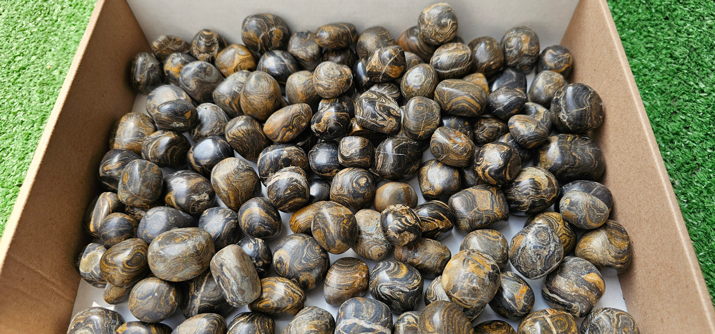 Lot 2.5 kg Tumbled Stromatolite