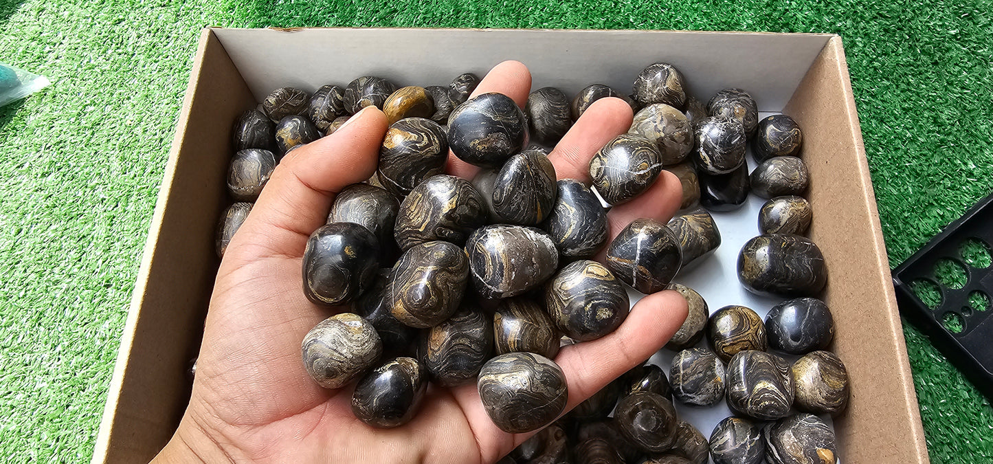 Lot 2.5 kg Tumbled Stromatolite