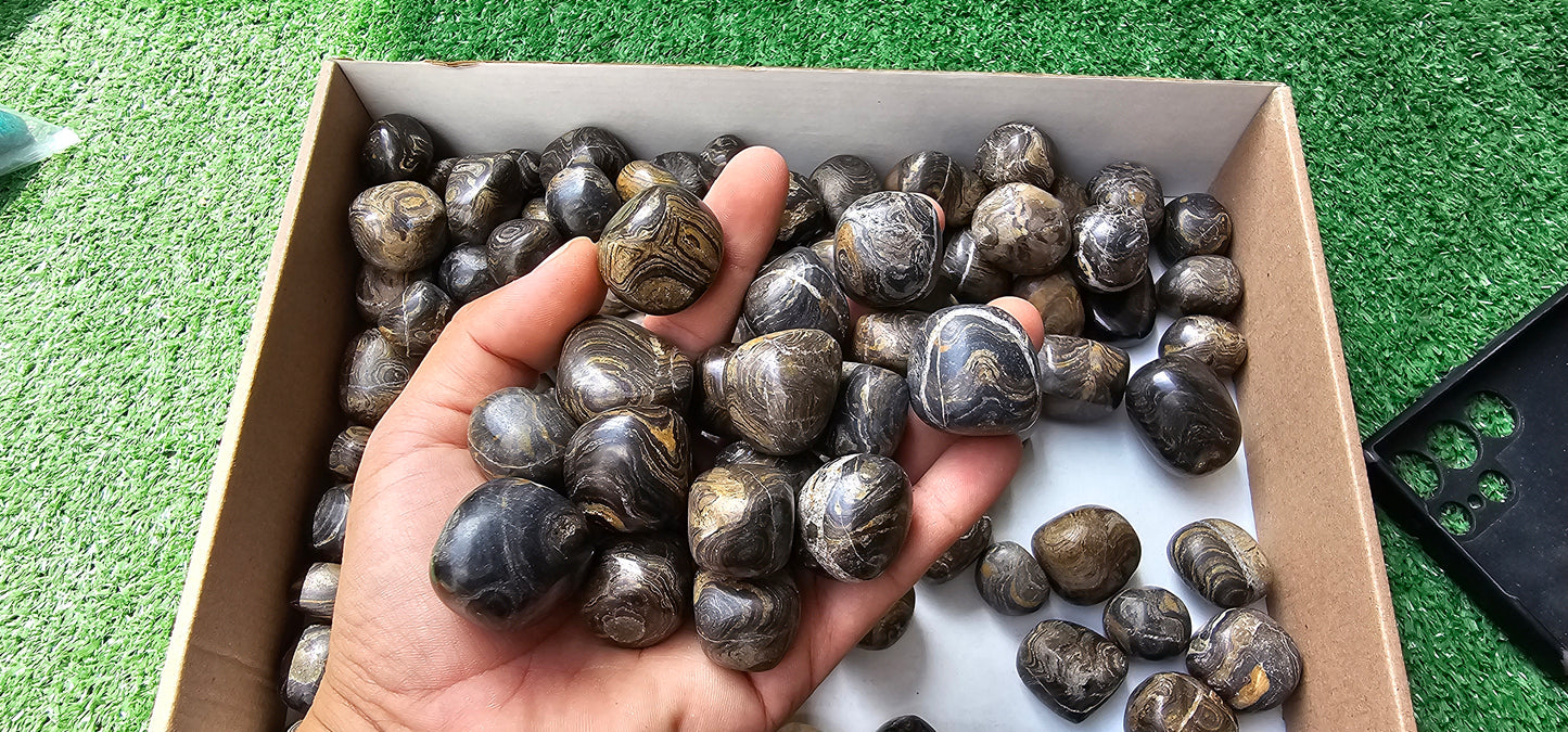 Lot 2.5 kg Tumbled Stromatolite