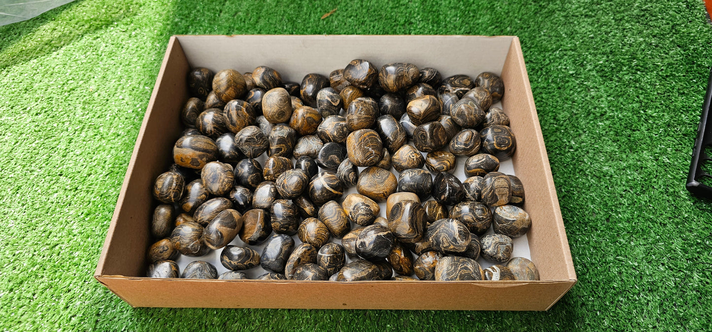 Lot 2.5 kg Tumbled Stromatolite