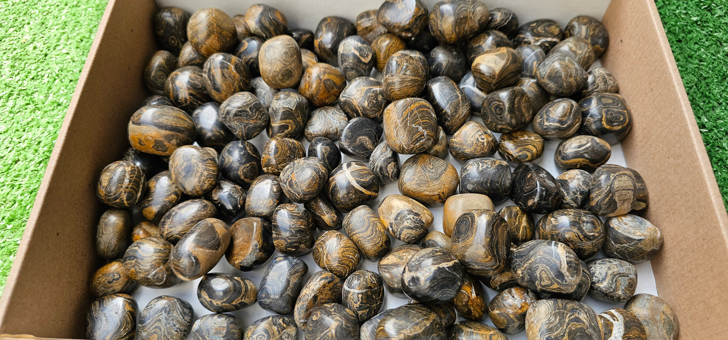 Lot 2.5 kg Tumbled Stromatolite
