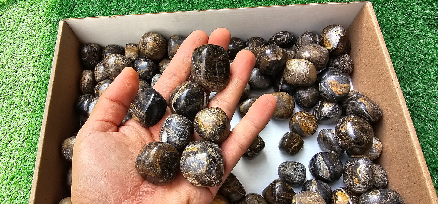 Lot 2.5 kg Tumbled Stromatolite
