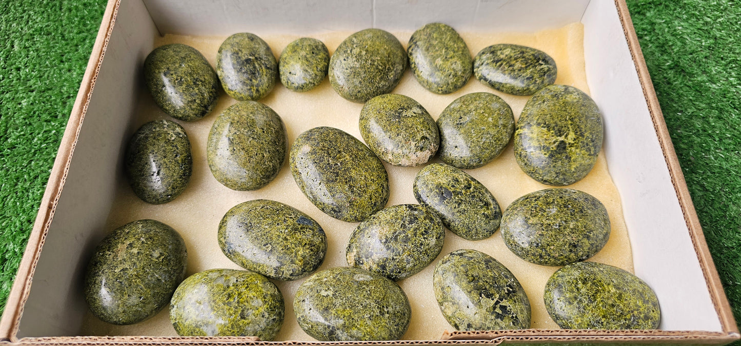 Lot 21 Palms Epidote