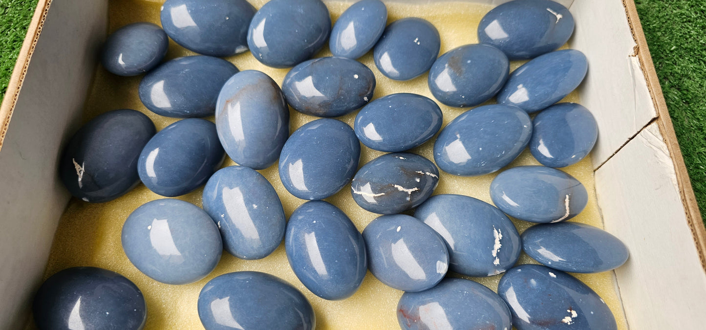 Lot 29 Angelite Palm