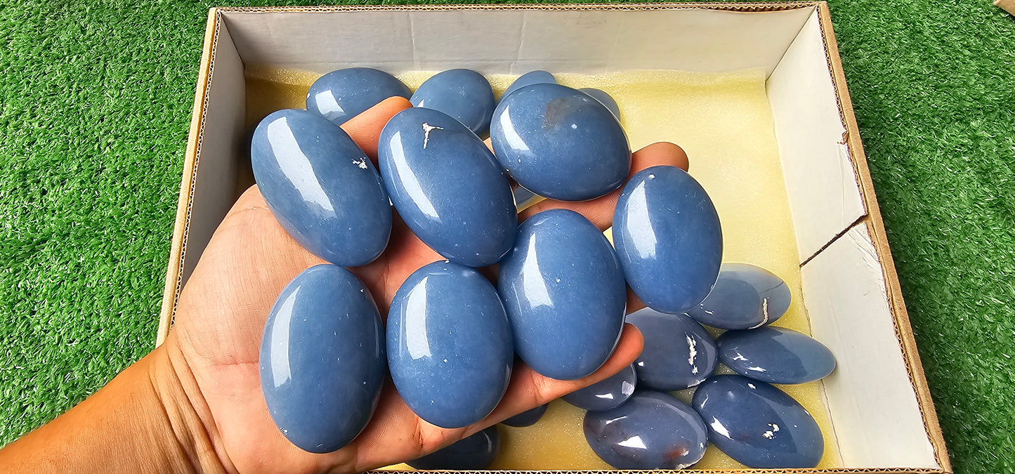 Lot 29 Angelite Palm