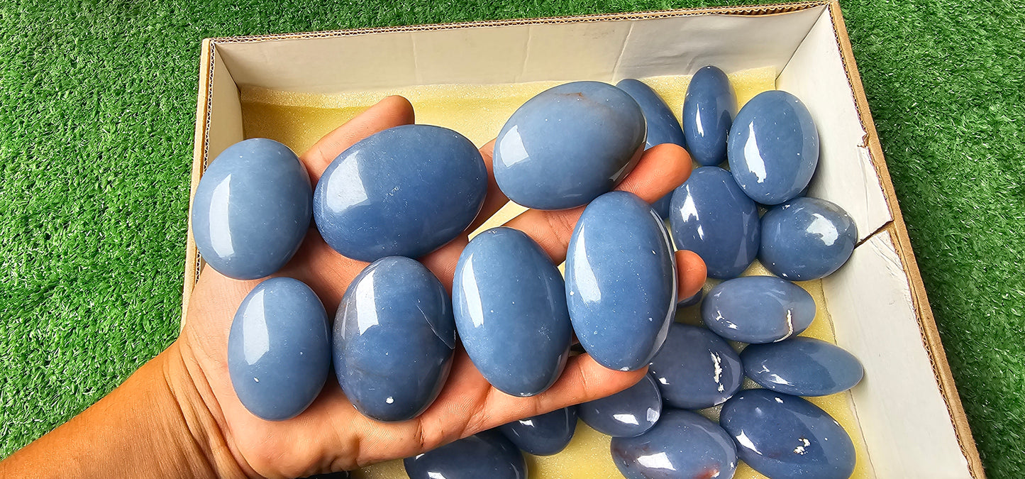 Lot 29 Angelite Palm