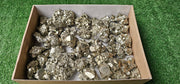 Lot 38 Pyrite coco
