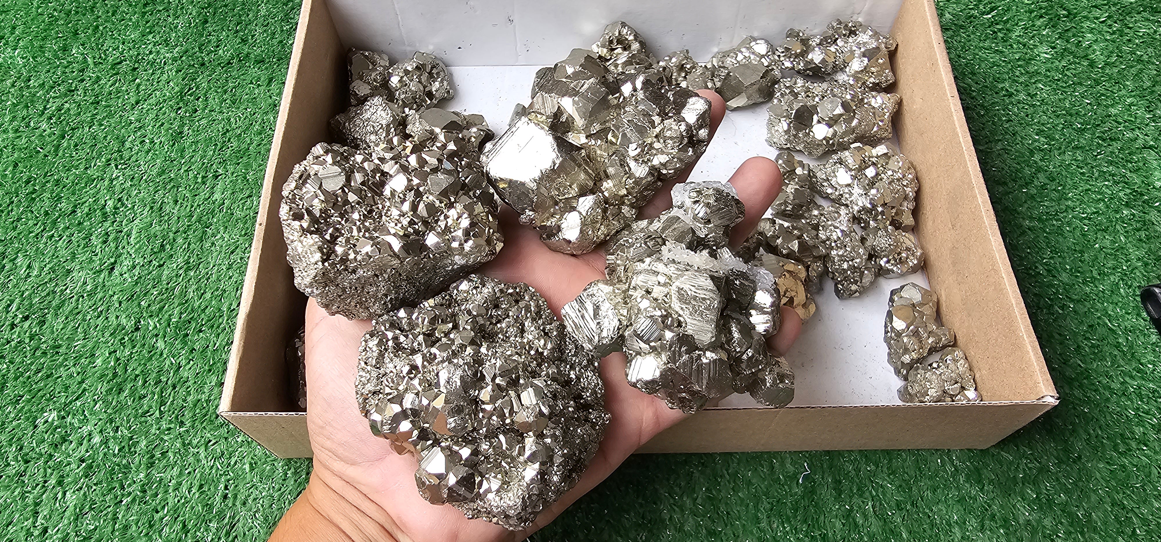 Lot 38 Pyrite coco