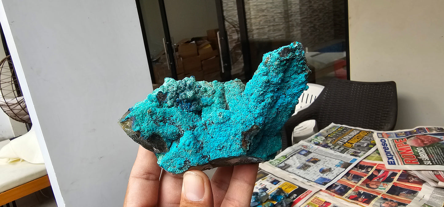 Chrysocolla on Quartz