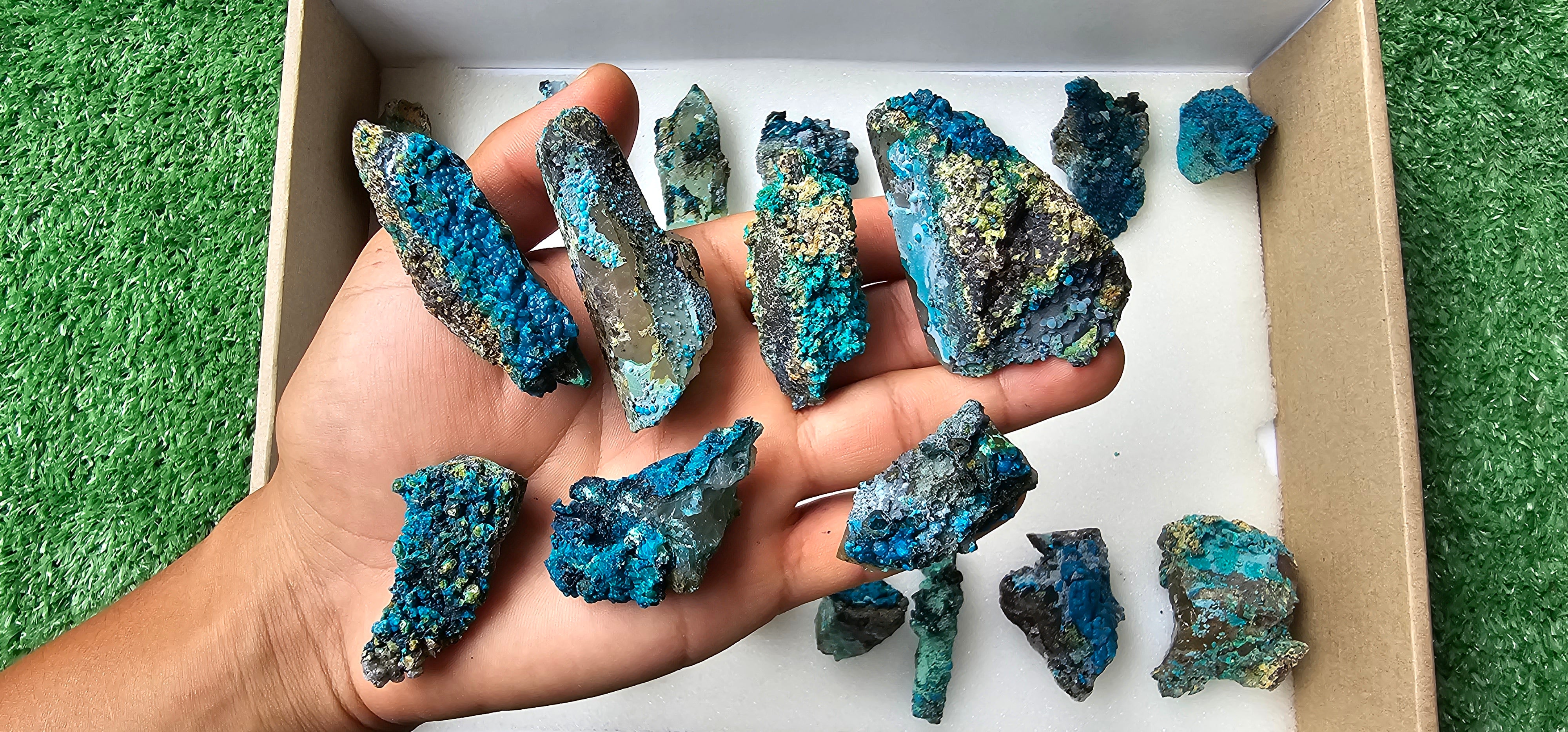 Lot 21 Chrysocolla on Quartz