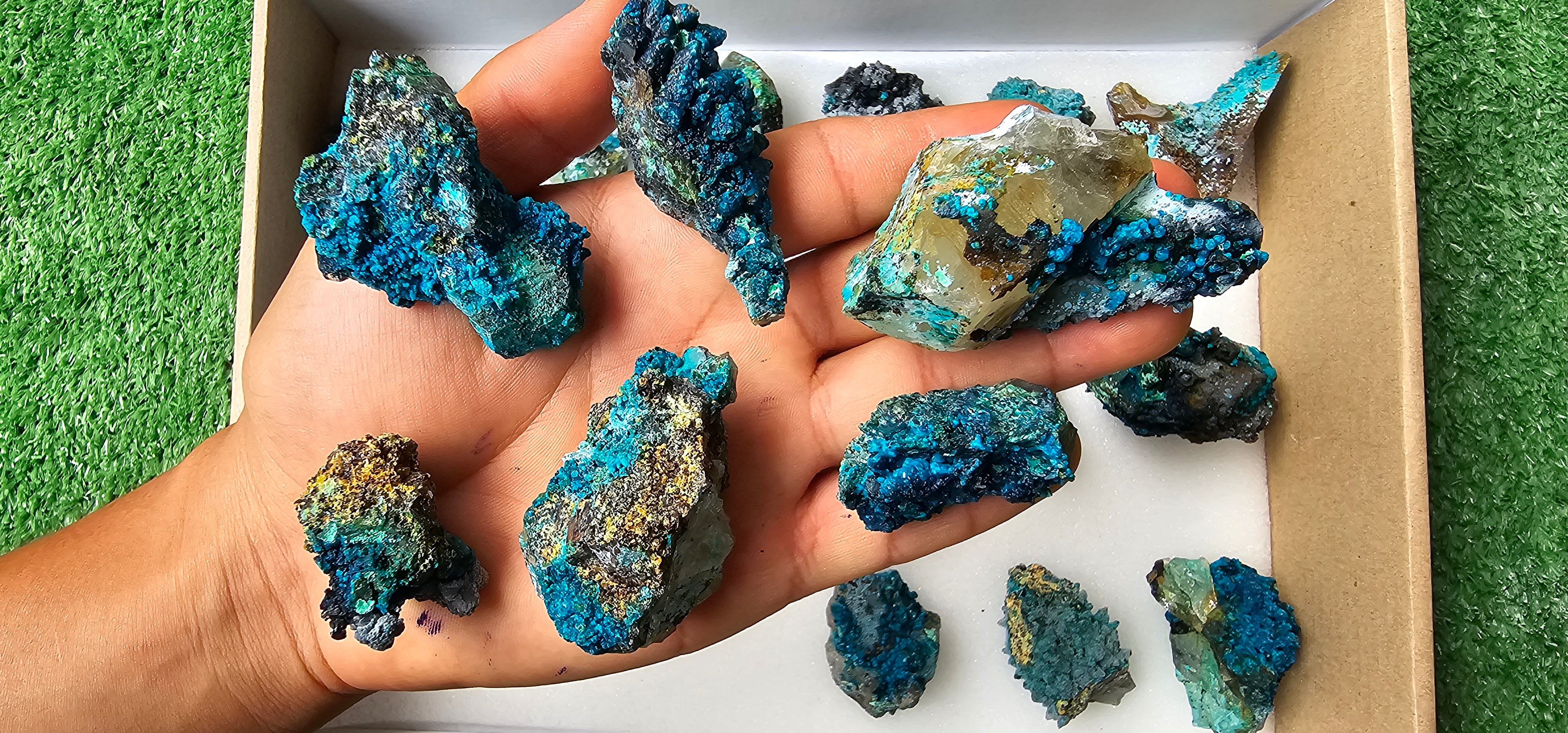 Lot 20 Chrysocolla on Quartz