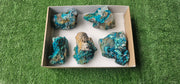 Lot 5 Chrysocolla on Quartz