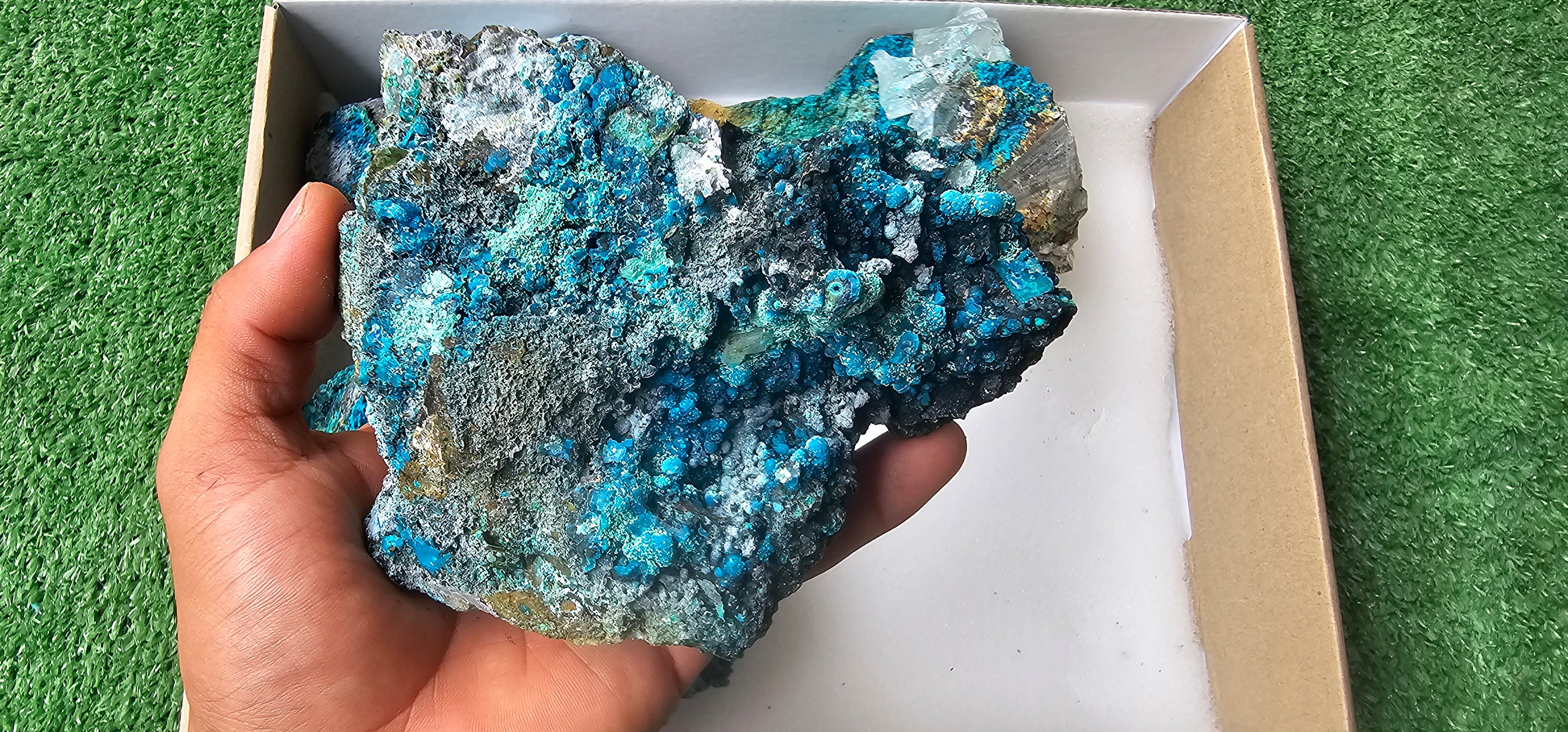 Lot 5 Chrysocolla on Quartz