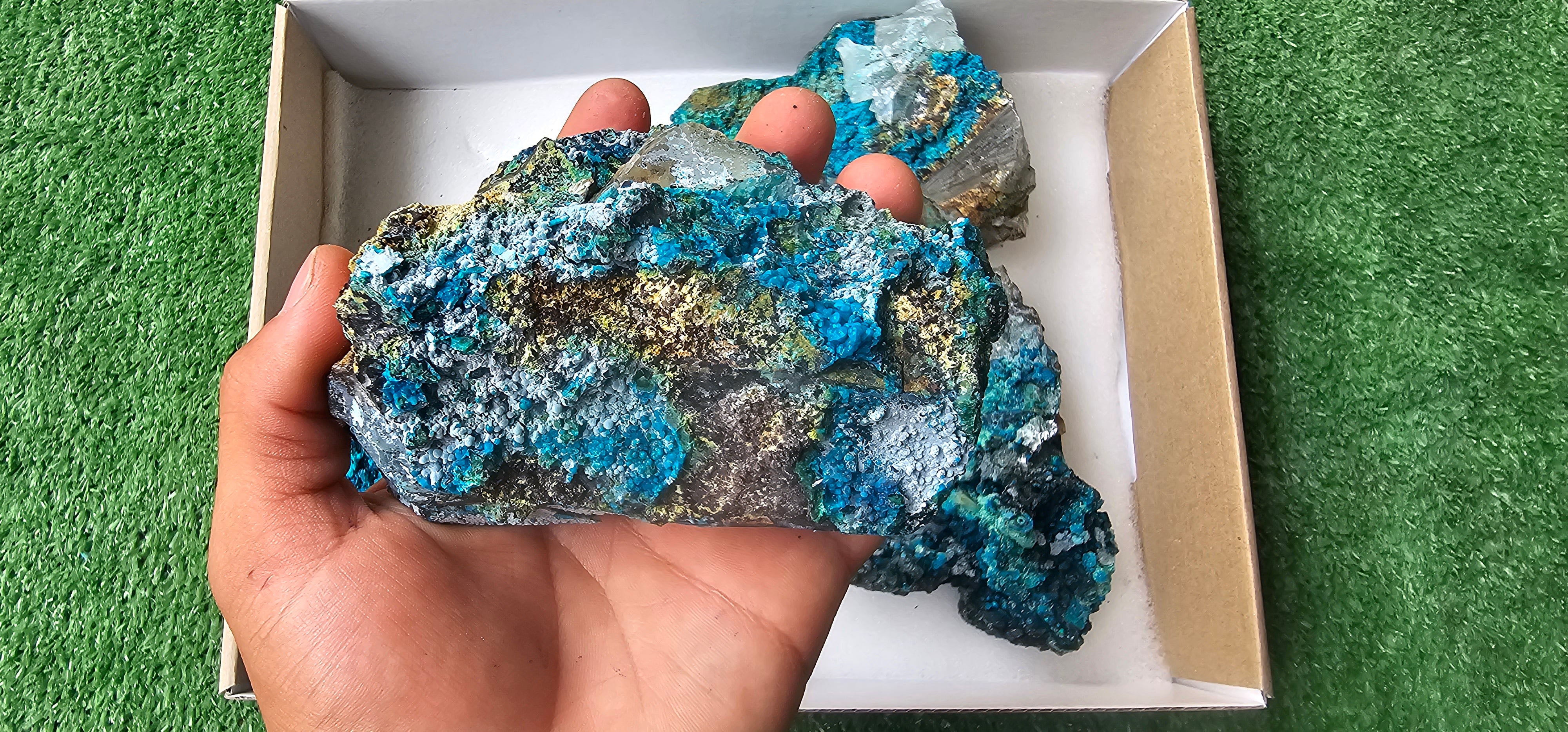 Lot 5 Chrysocolla on Quartz