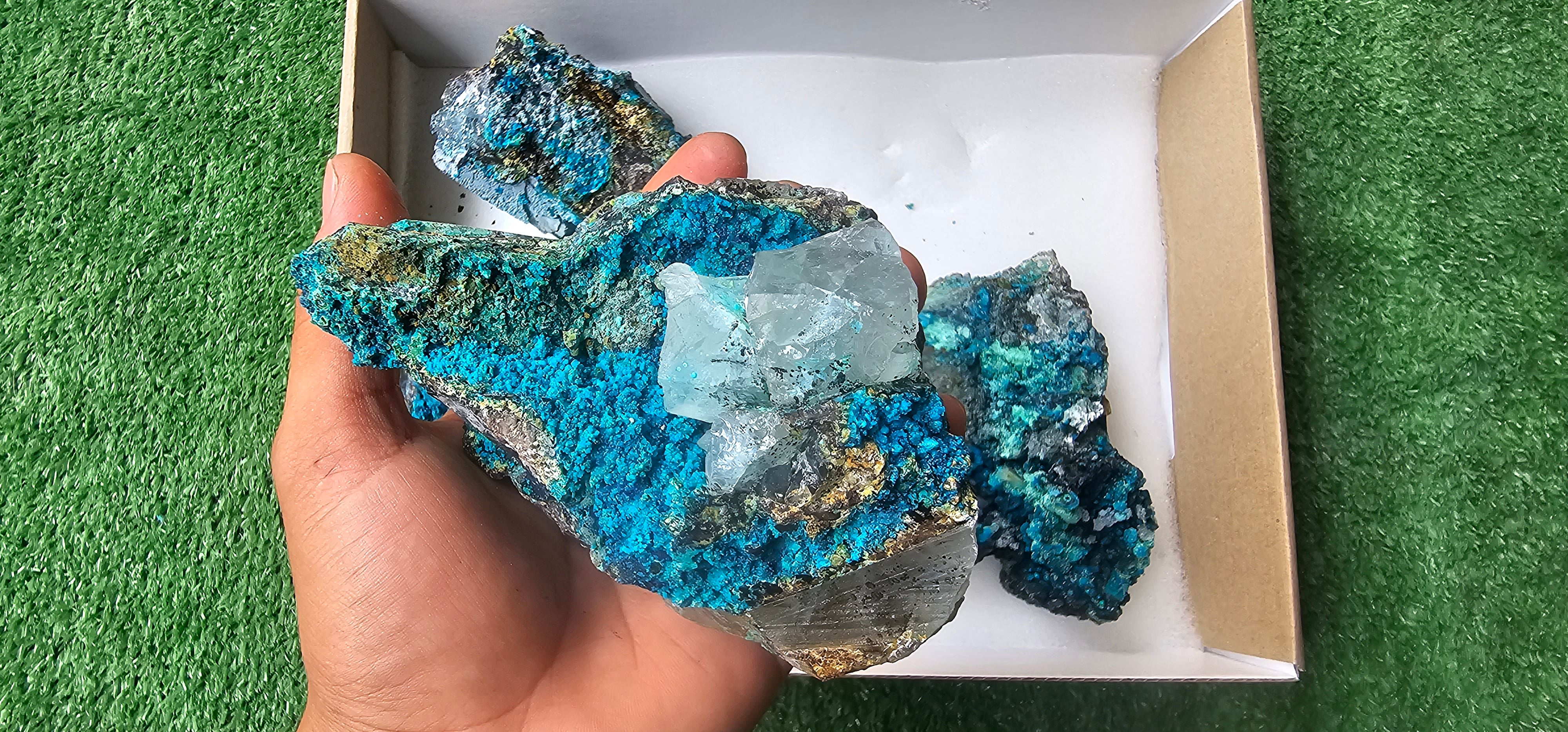 Lot 5 Chrysocolla on Quartz