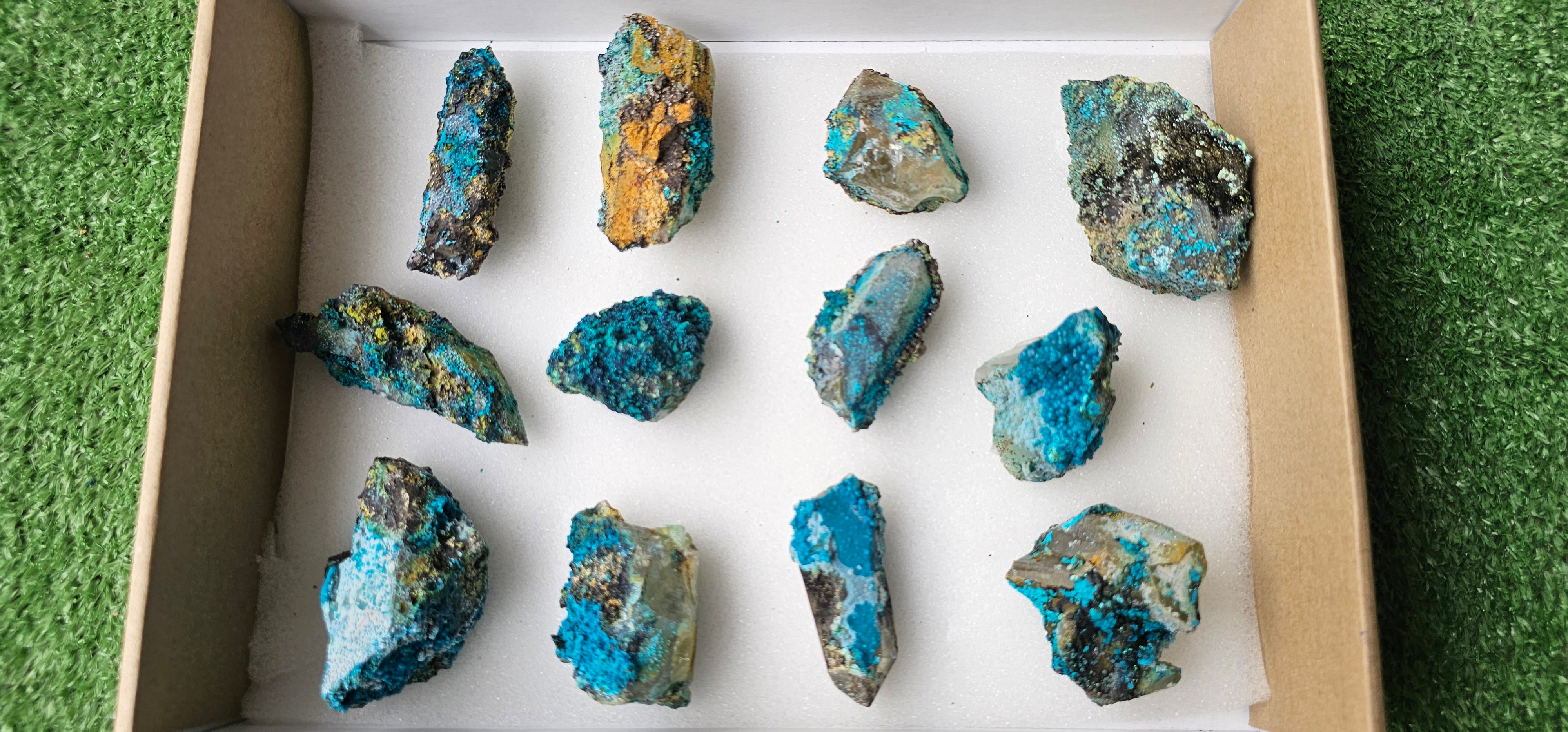 Lot 12 Chrysocolla on Quartz