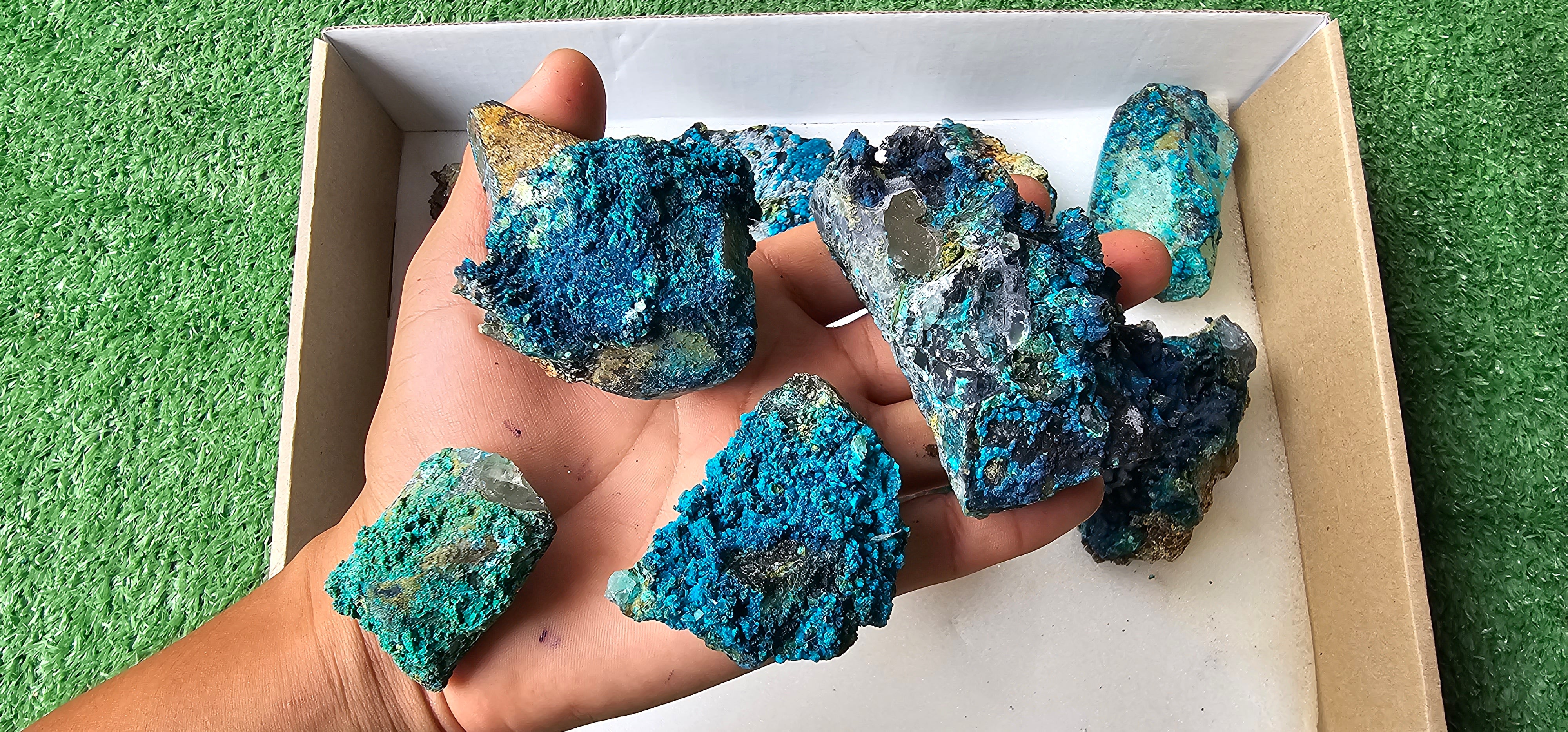 Lot 12 Chrysocolla on Quartz