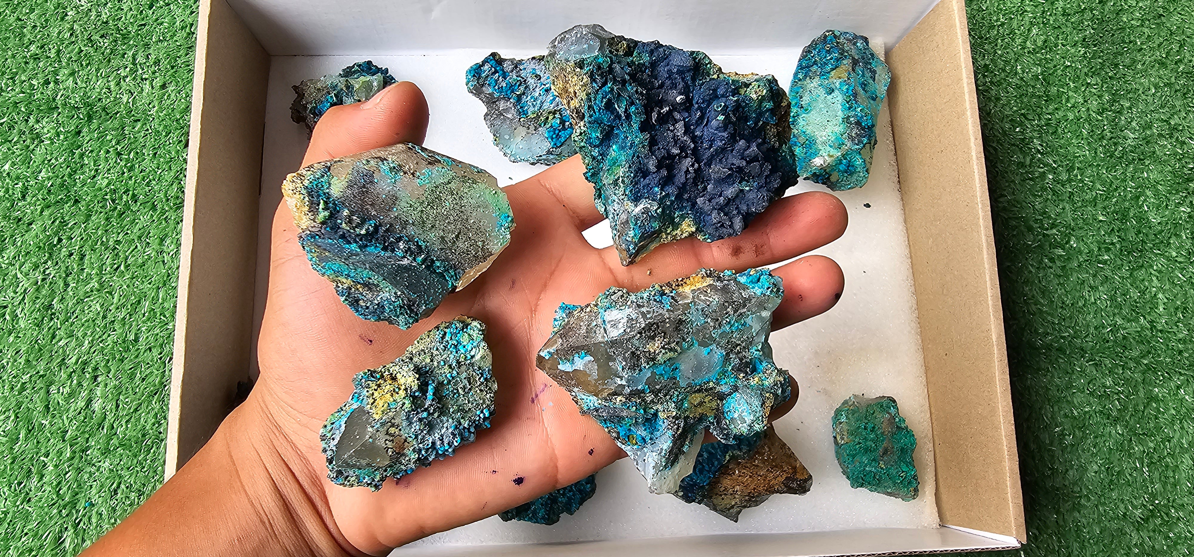 Lot 12 Chrysocolla on Quartz