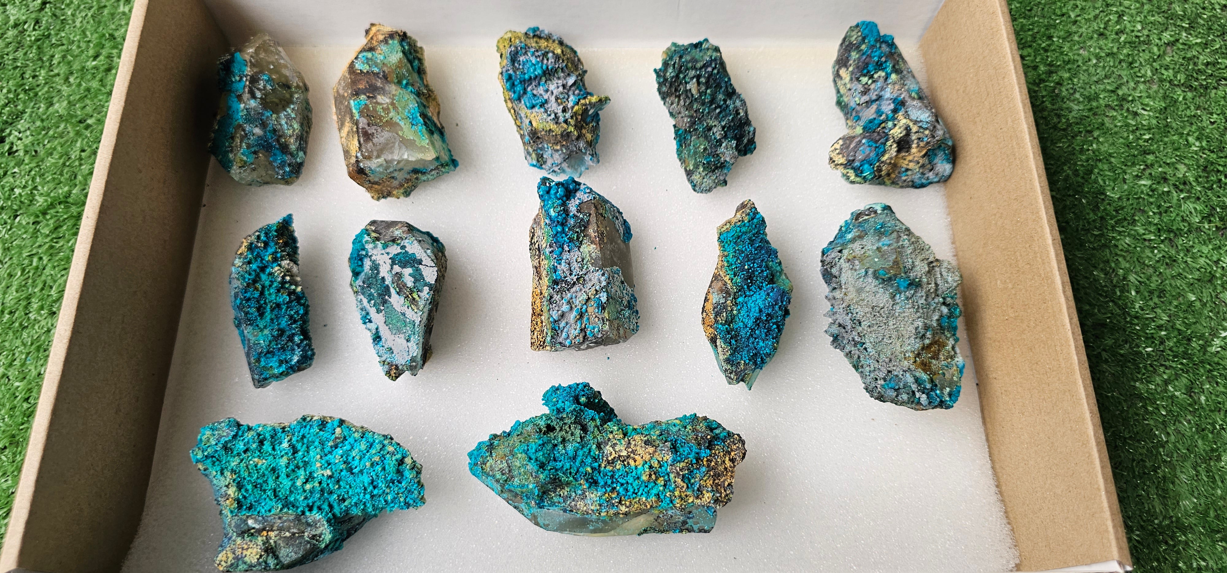 Lot 12 Chrysocolla on Quartz