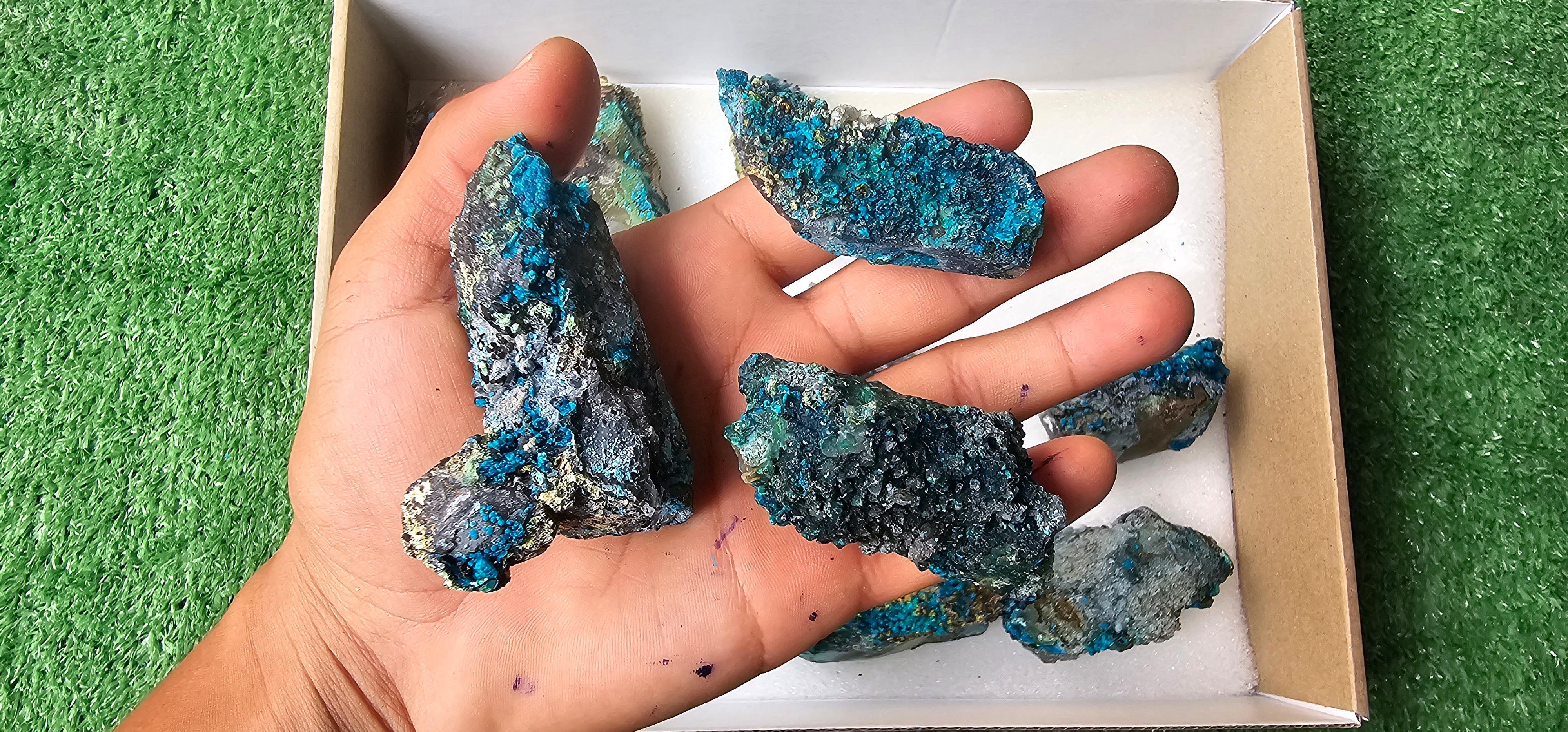Lot 12 Chrysocolla on Quartz