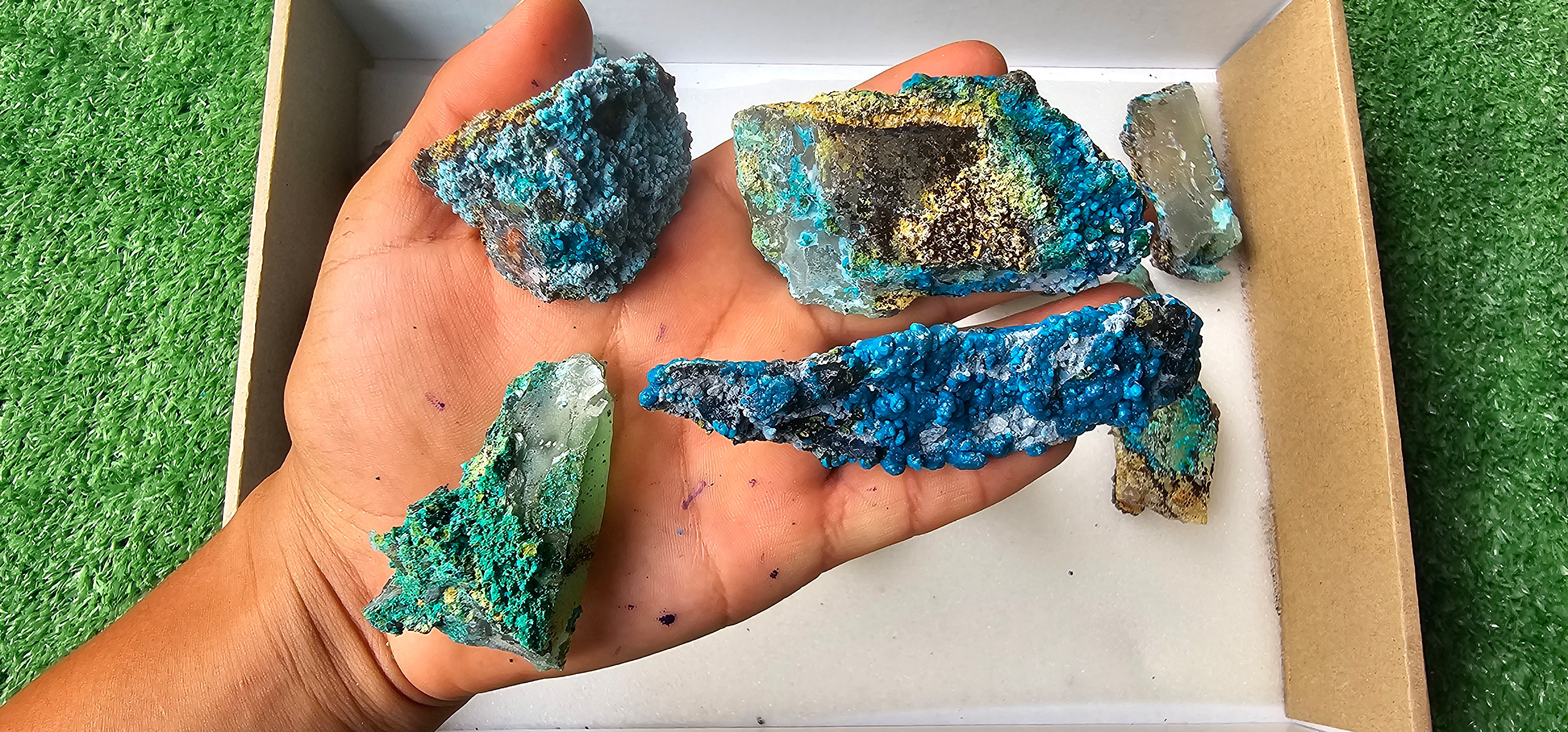 Lot 12 Chrysocolla on Quartz