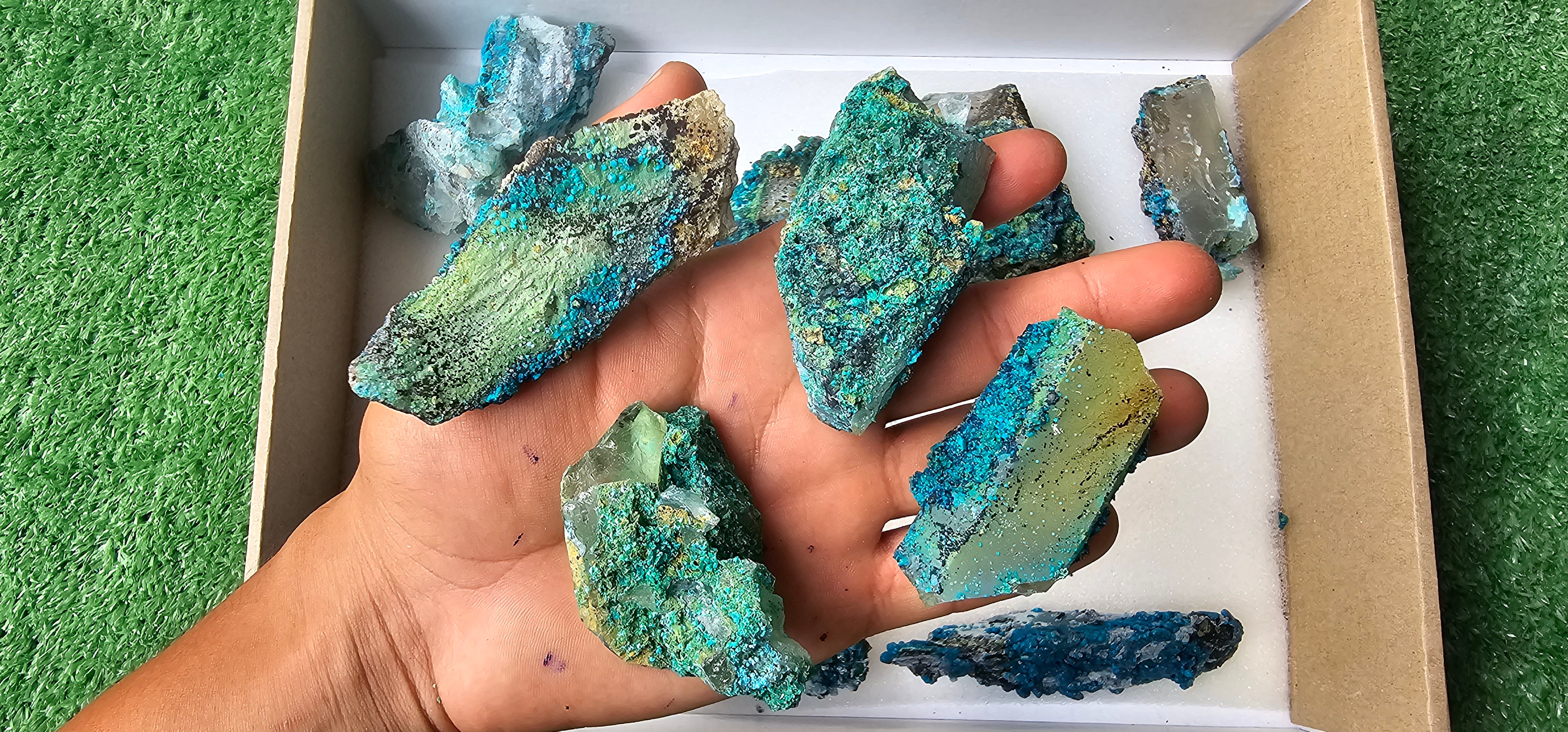 Lot 12 Chrysocolla on Quartz