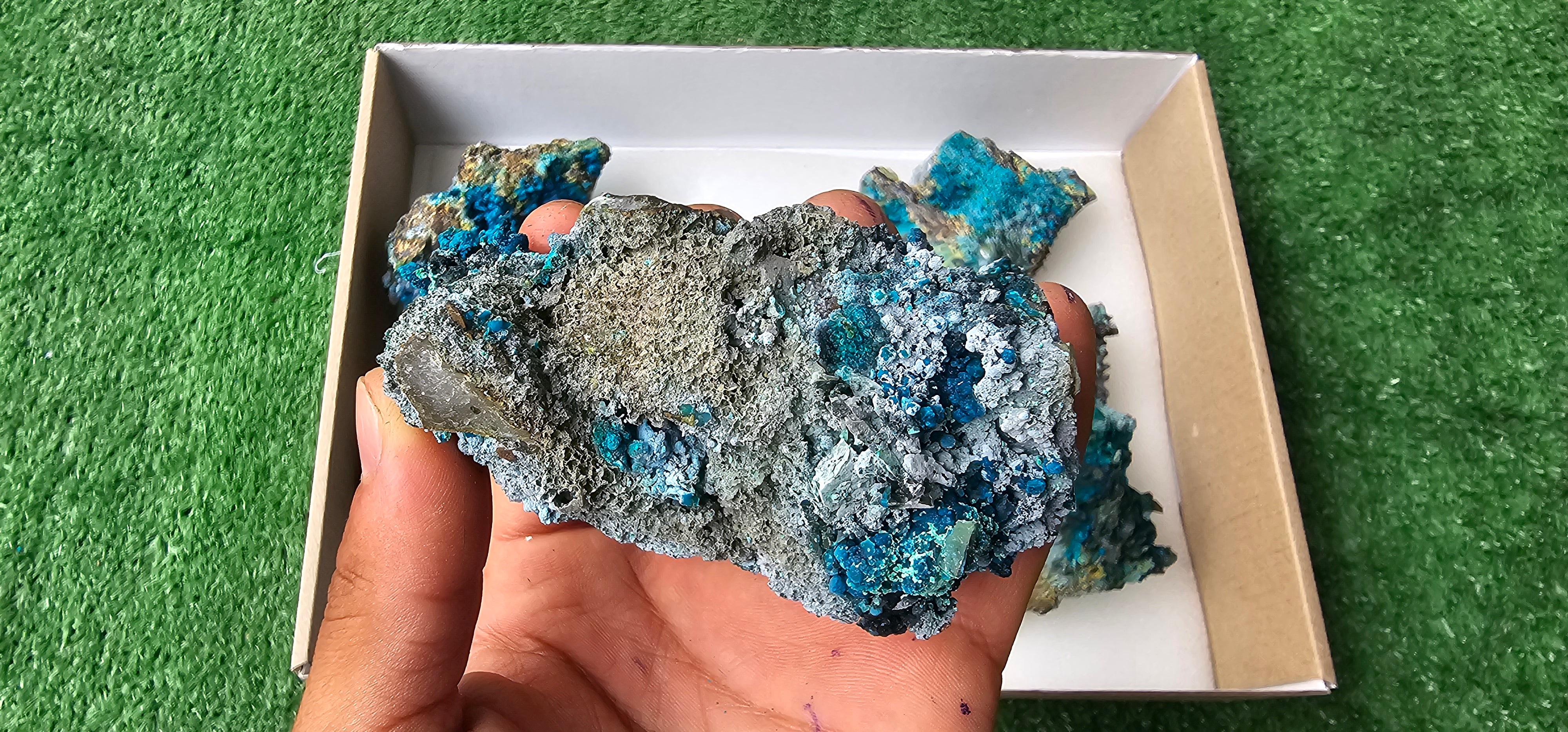 Lot 6 Chrysocolla on Quartz