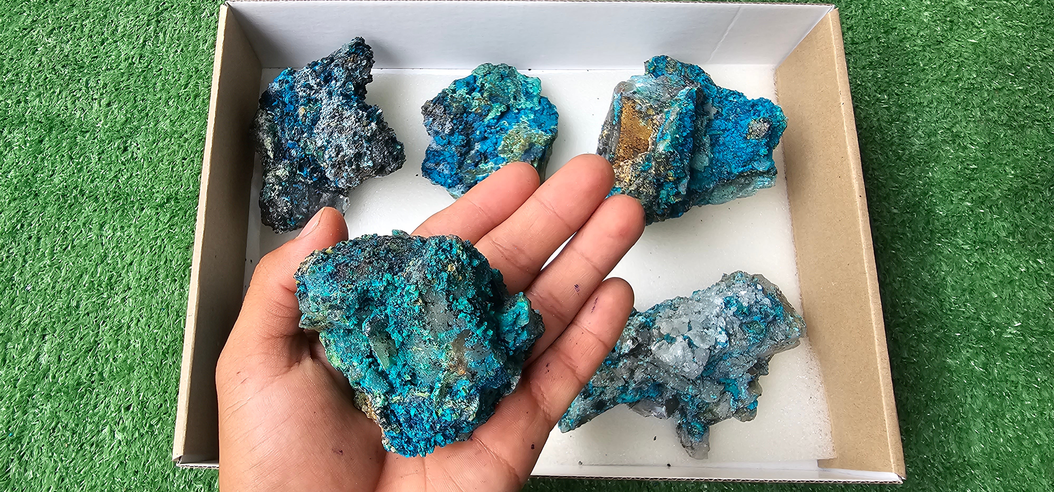 Lot 6 Chrysocolla on Quartz