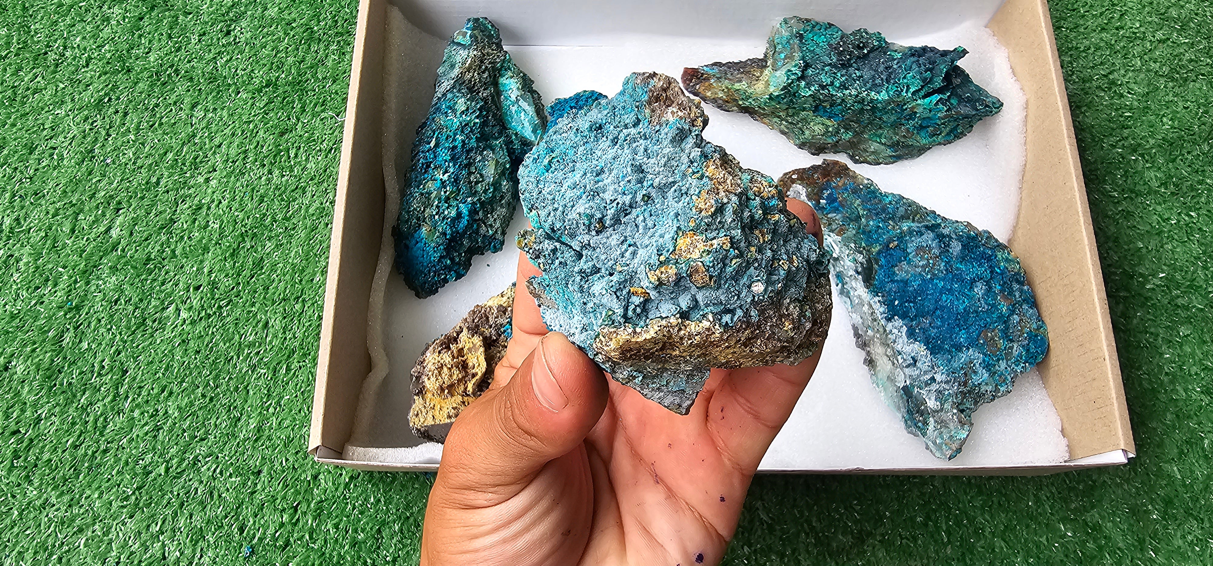 Lot 6 Chrysocolla on Quartz
