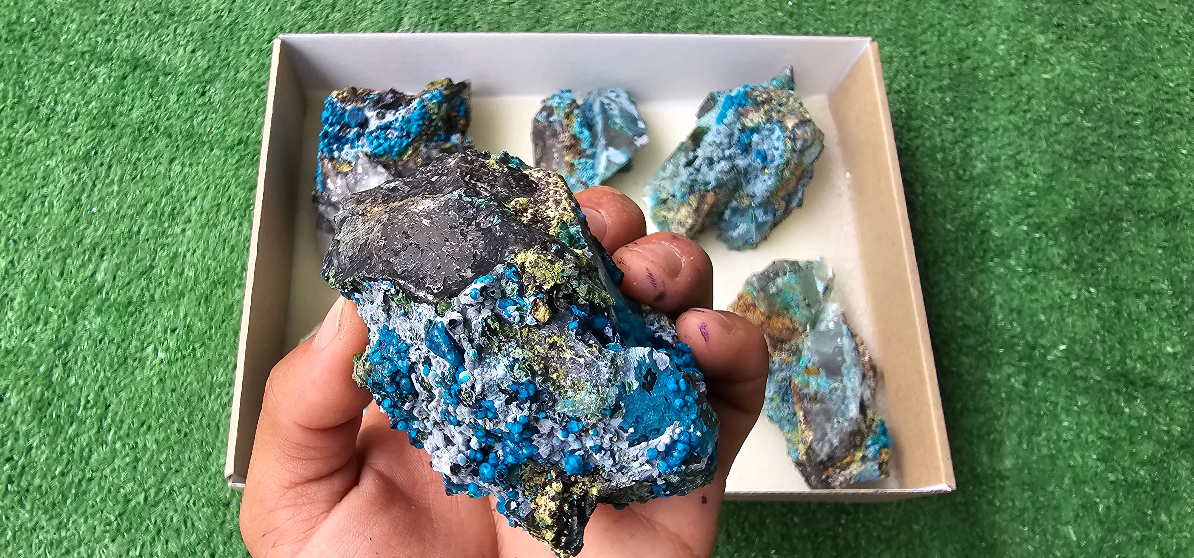 Lot 6 Chrysocolla on Quartz