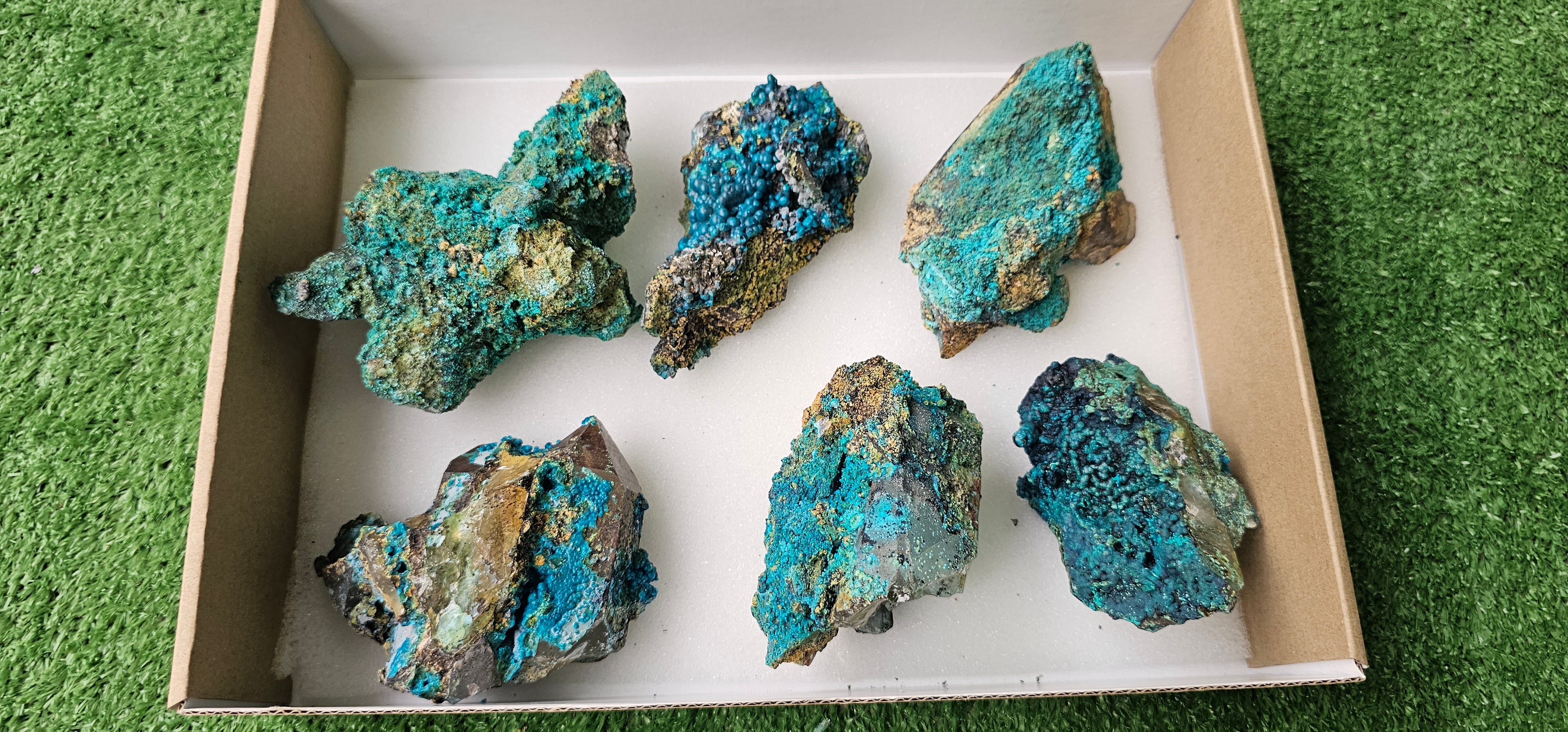 Lot 6 Chrysocolla on Quartz