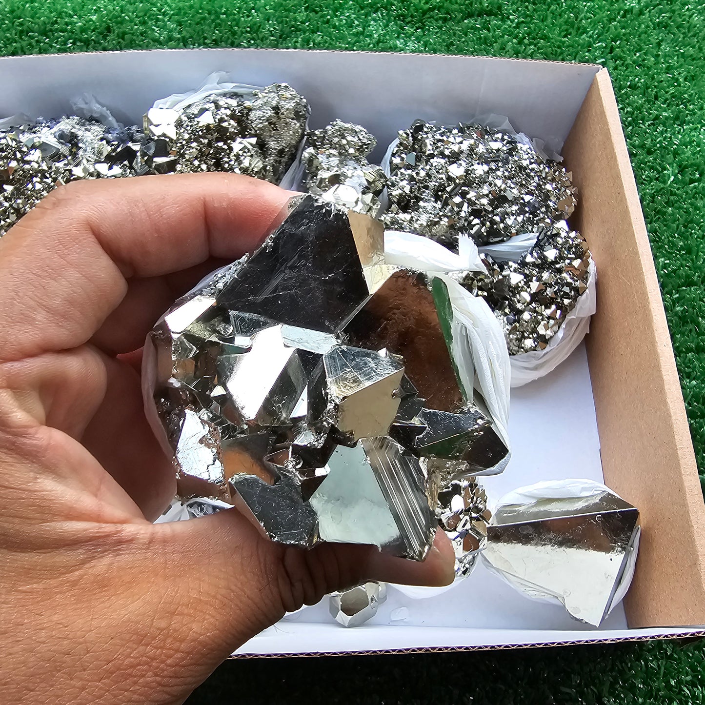 Box 14 pcs big pyrite Octahedral