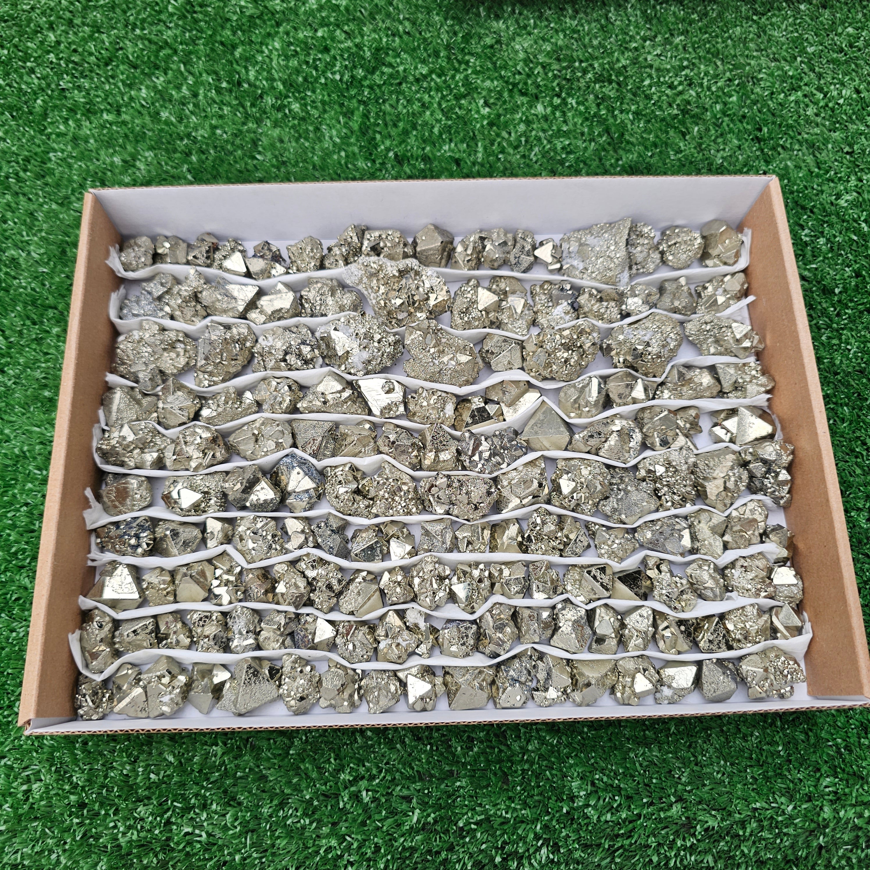 150 pc pyrite Cubic box