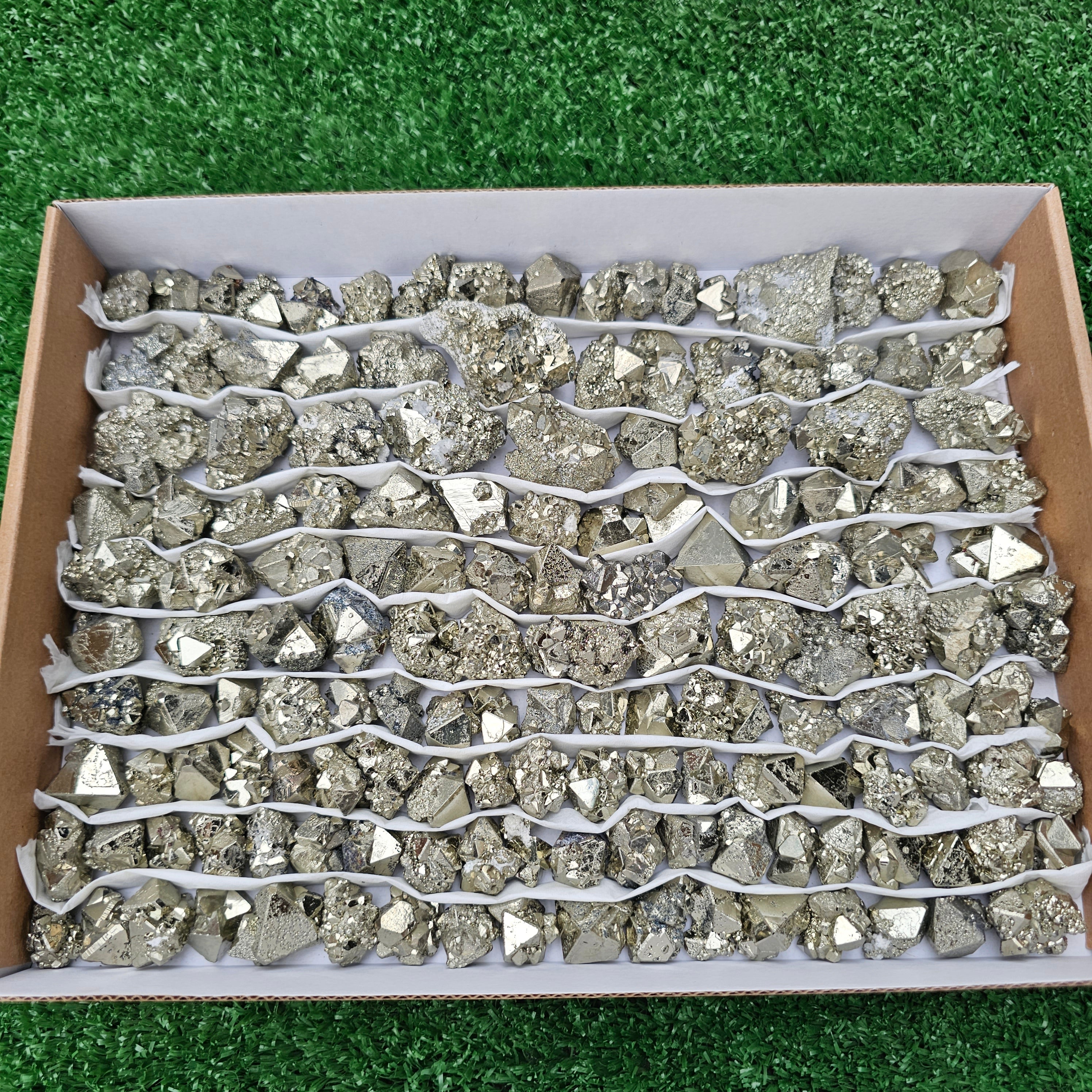 150 pc pyrite Cubic box