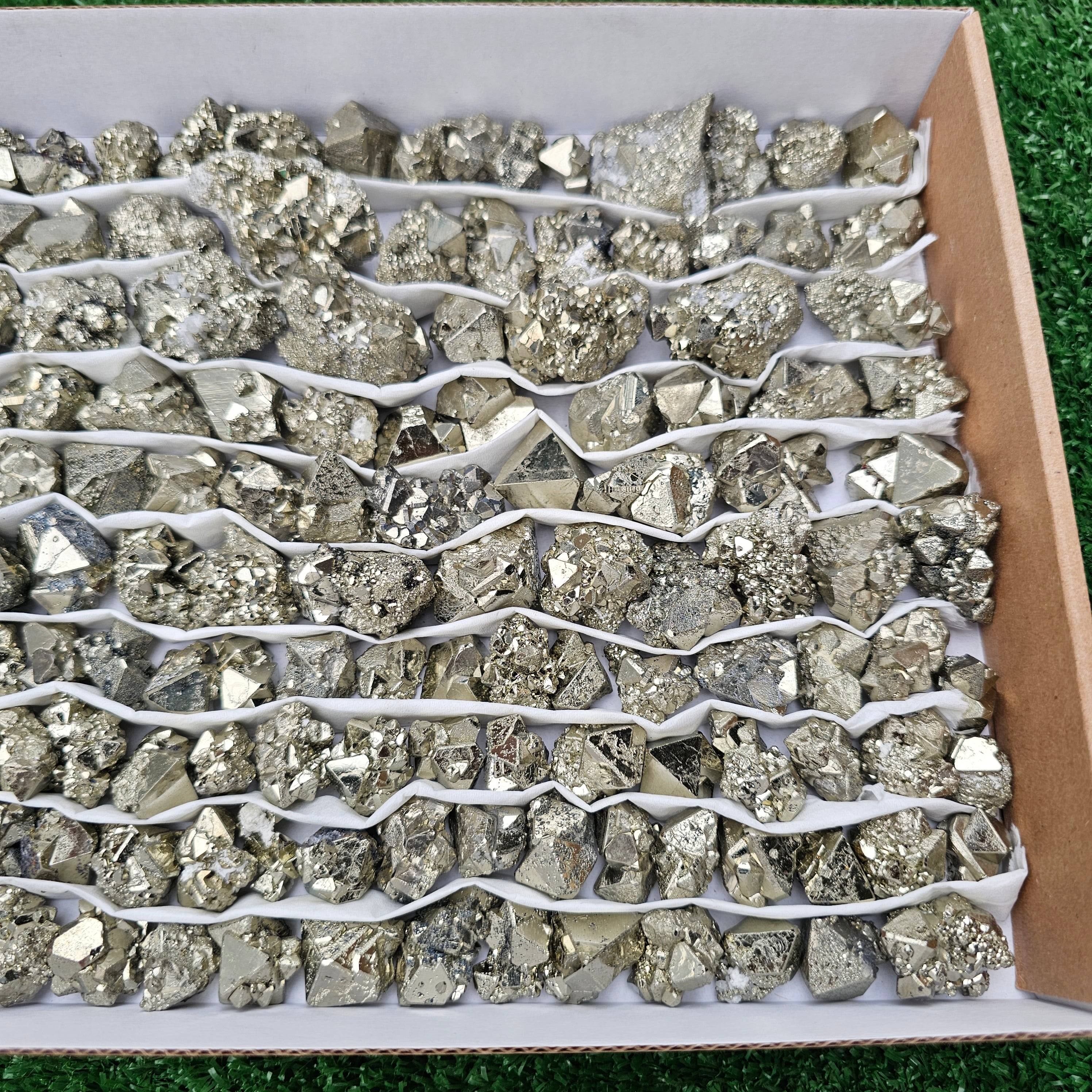 150 pc pyrite Cubic box