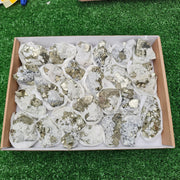 26 pc pyrite Cubic