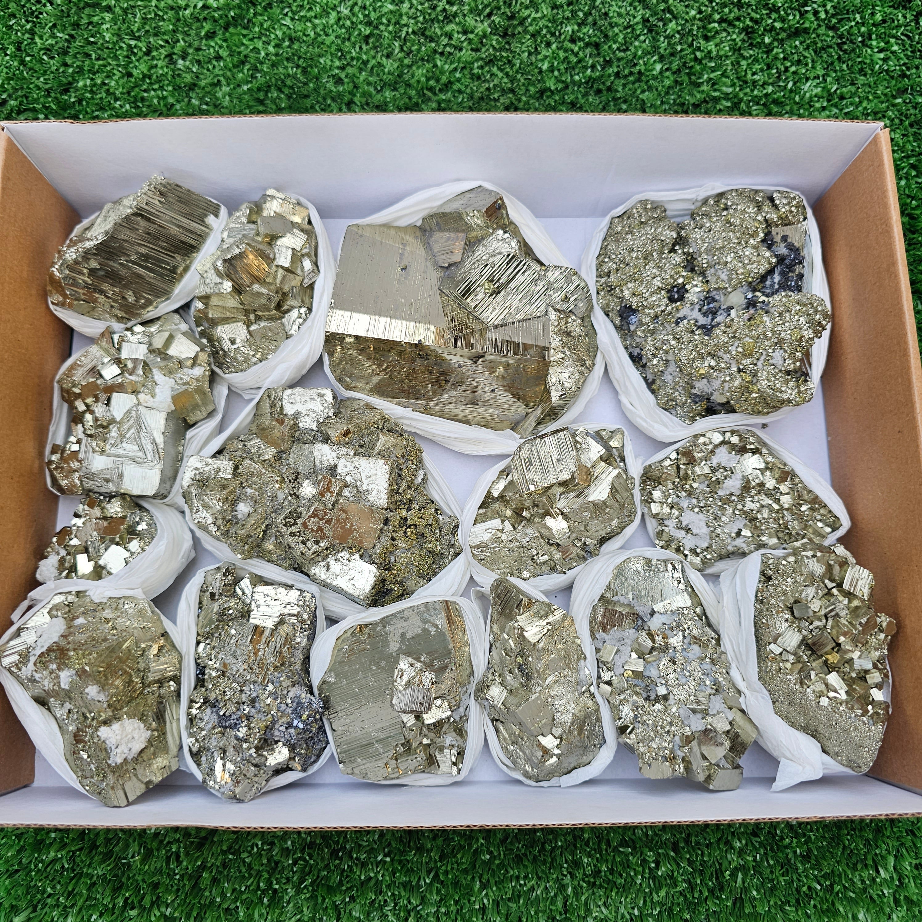 15 pc Box Pyrite Cubic