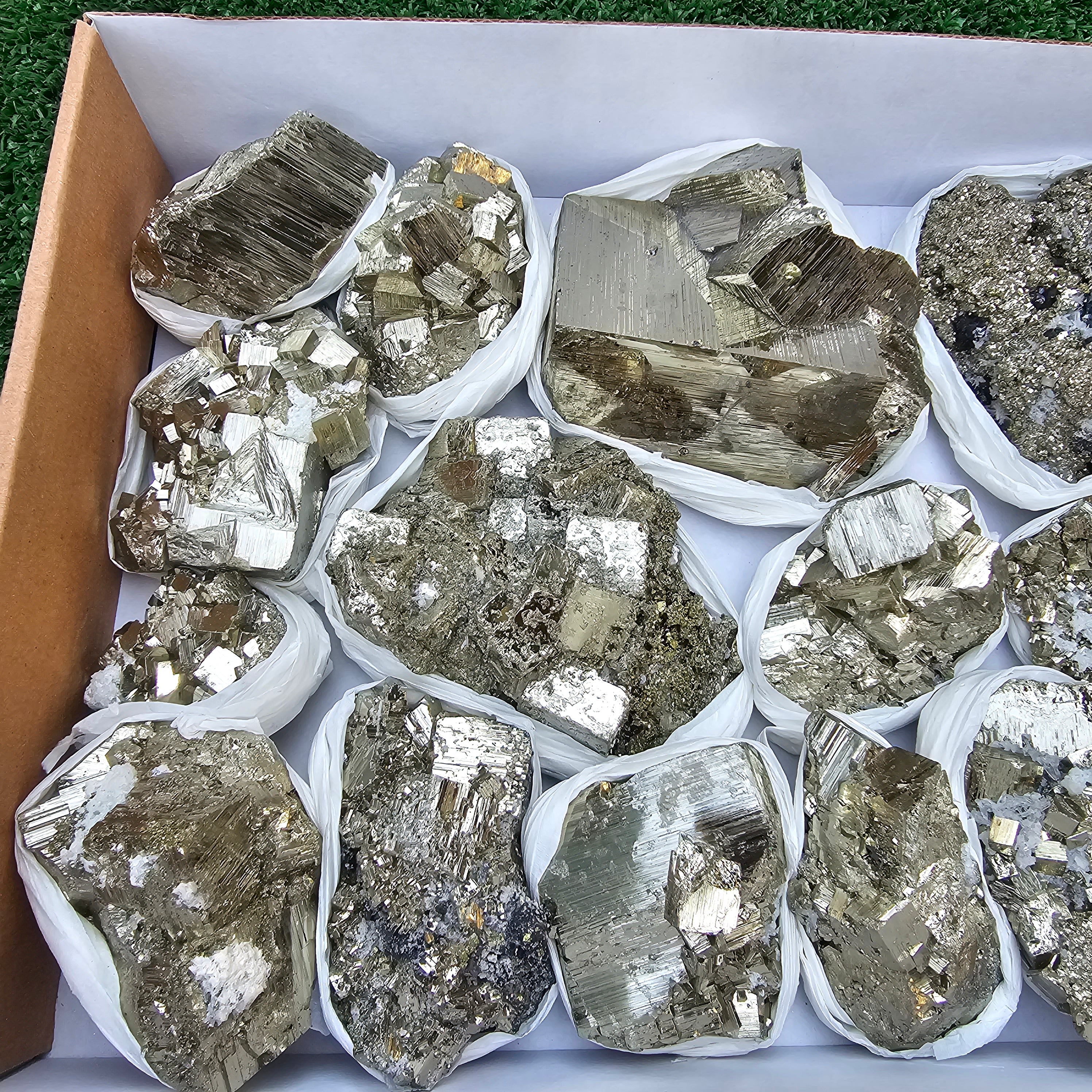 15 pc Box Pyrite Cubic