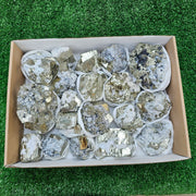 19 pc Pyrite Cubic with calcite flourecent