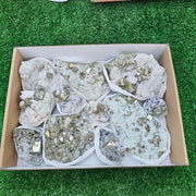 12 pc Pyrite Cubic with calcite flourecent