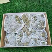 11 pc Pyrite Cubic with calcite flourecent