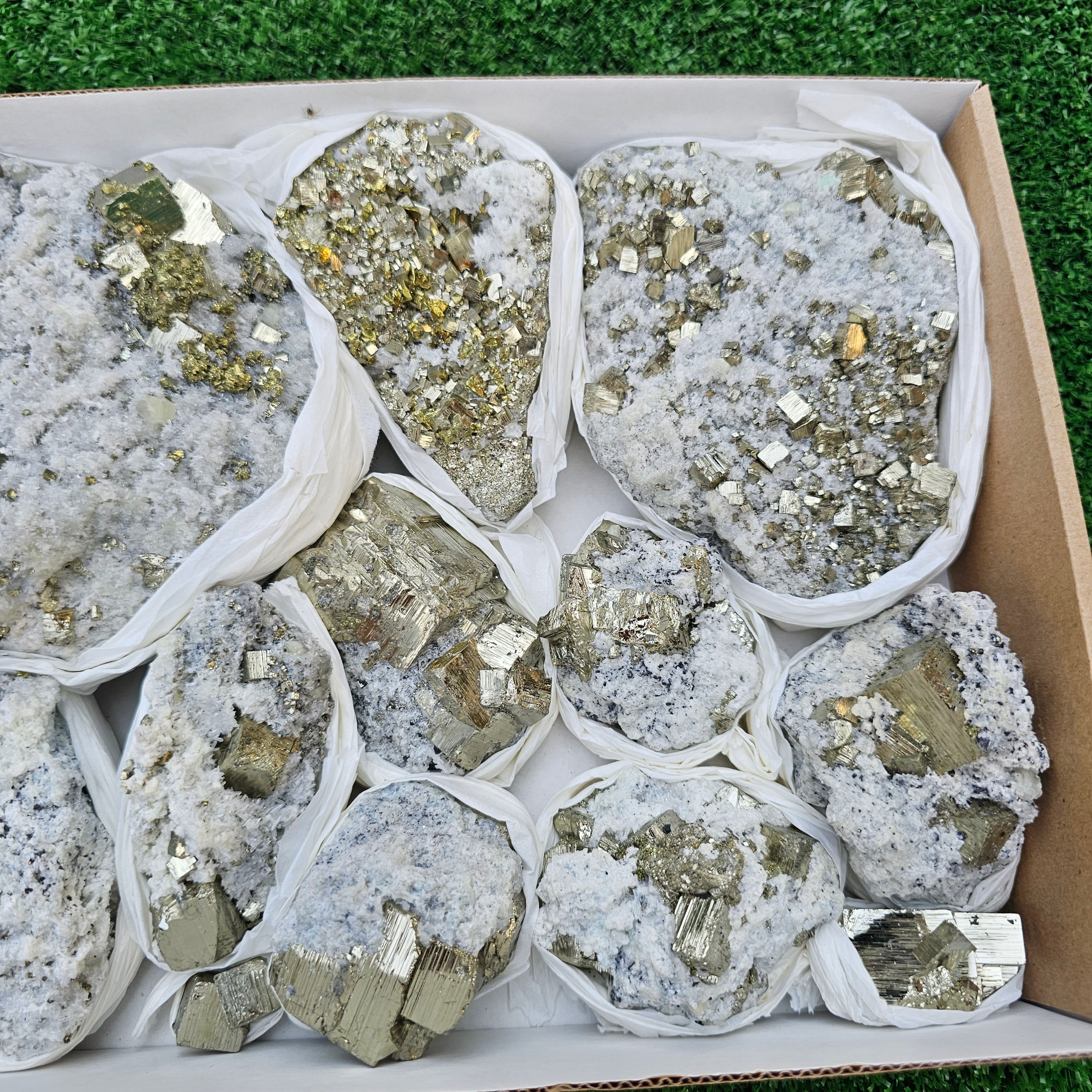 11 pc Pyrite Cubic with calcite flourecent
