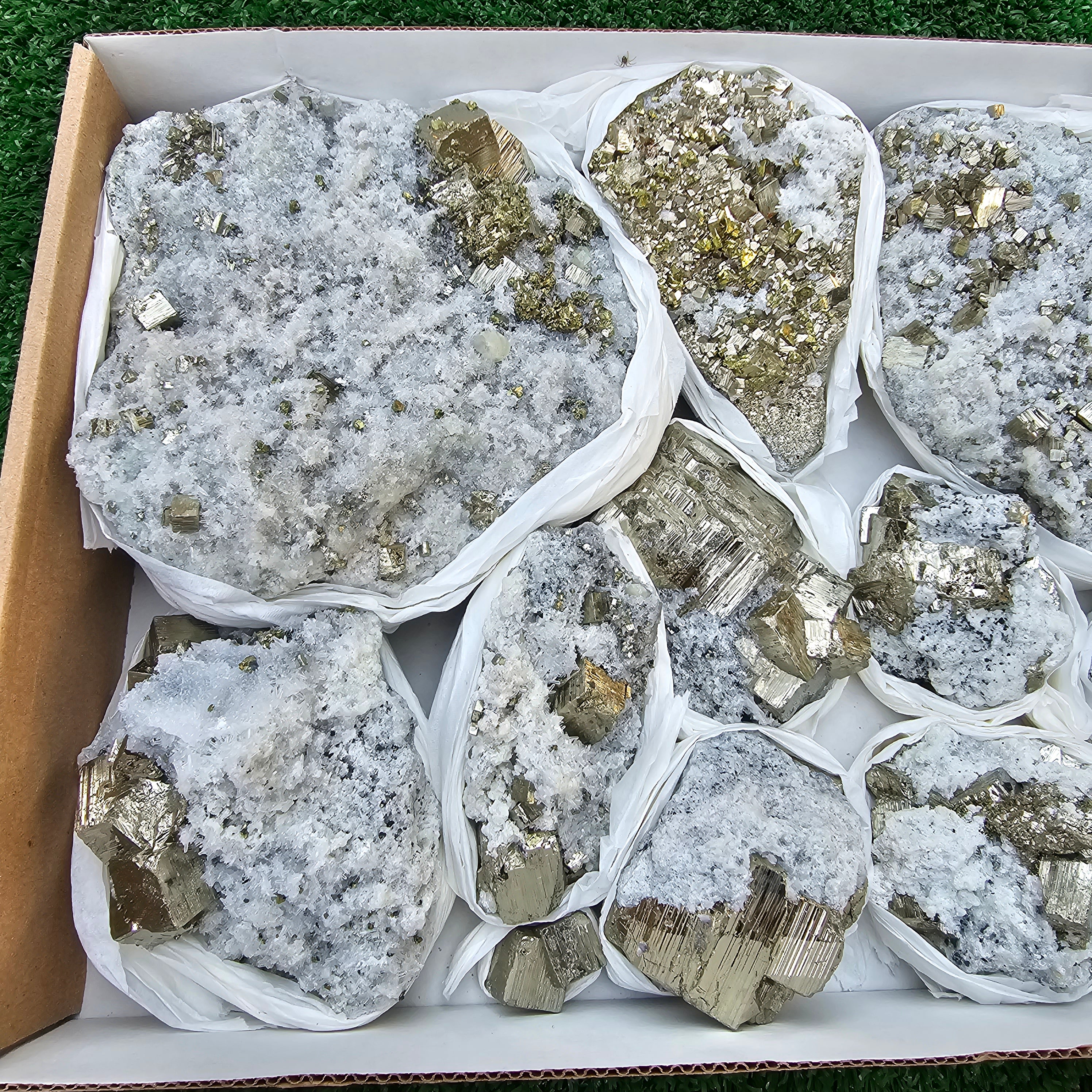 11 pc Pyrite Cubic with calcite flourecent