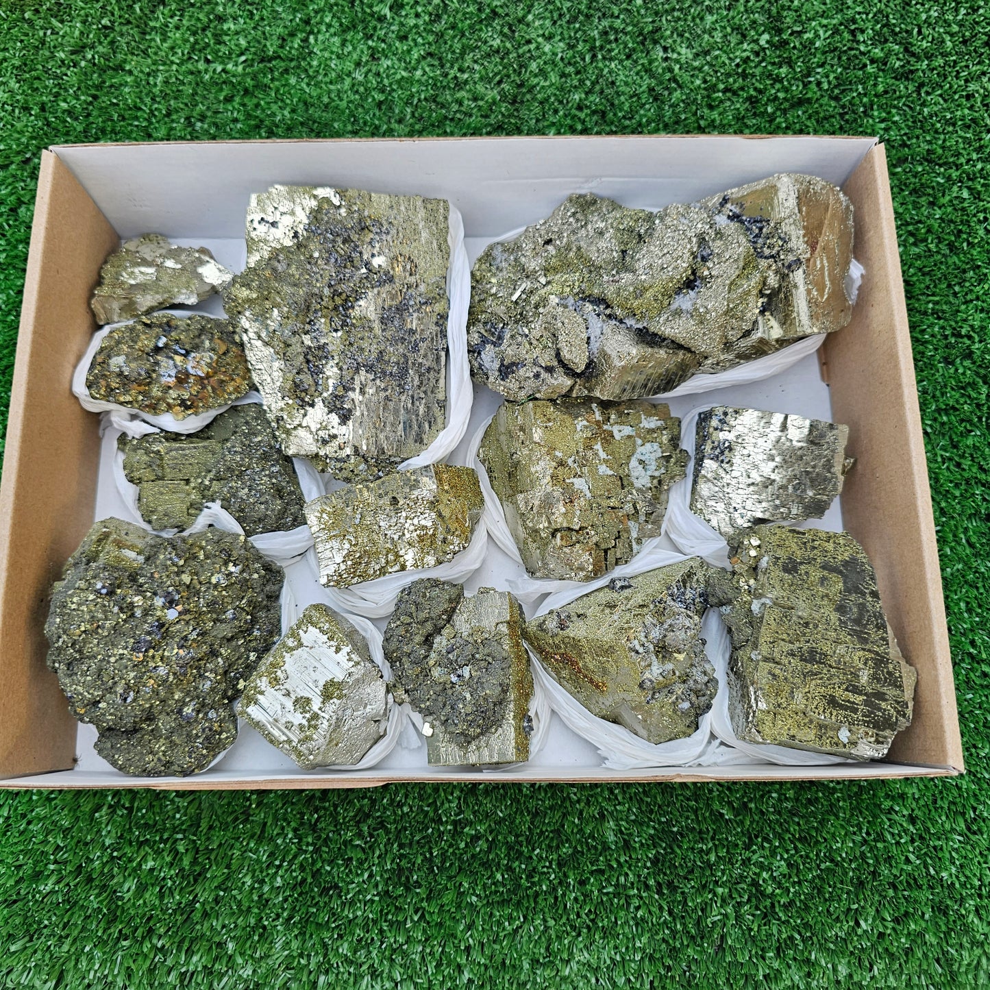13 pc Pyrite Cubic with chalcopyrite
