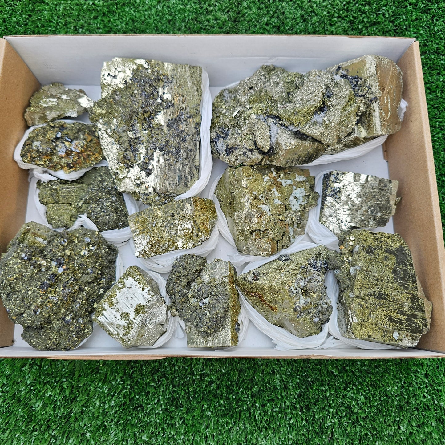 13 pc Pyrite Cubic with chalcopyrite