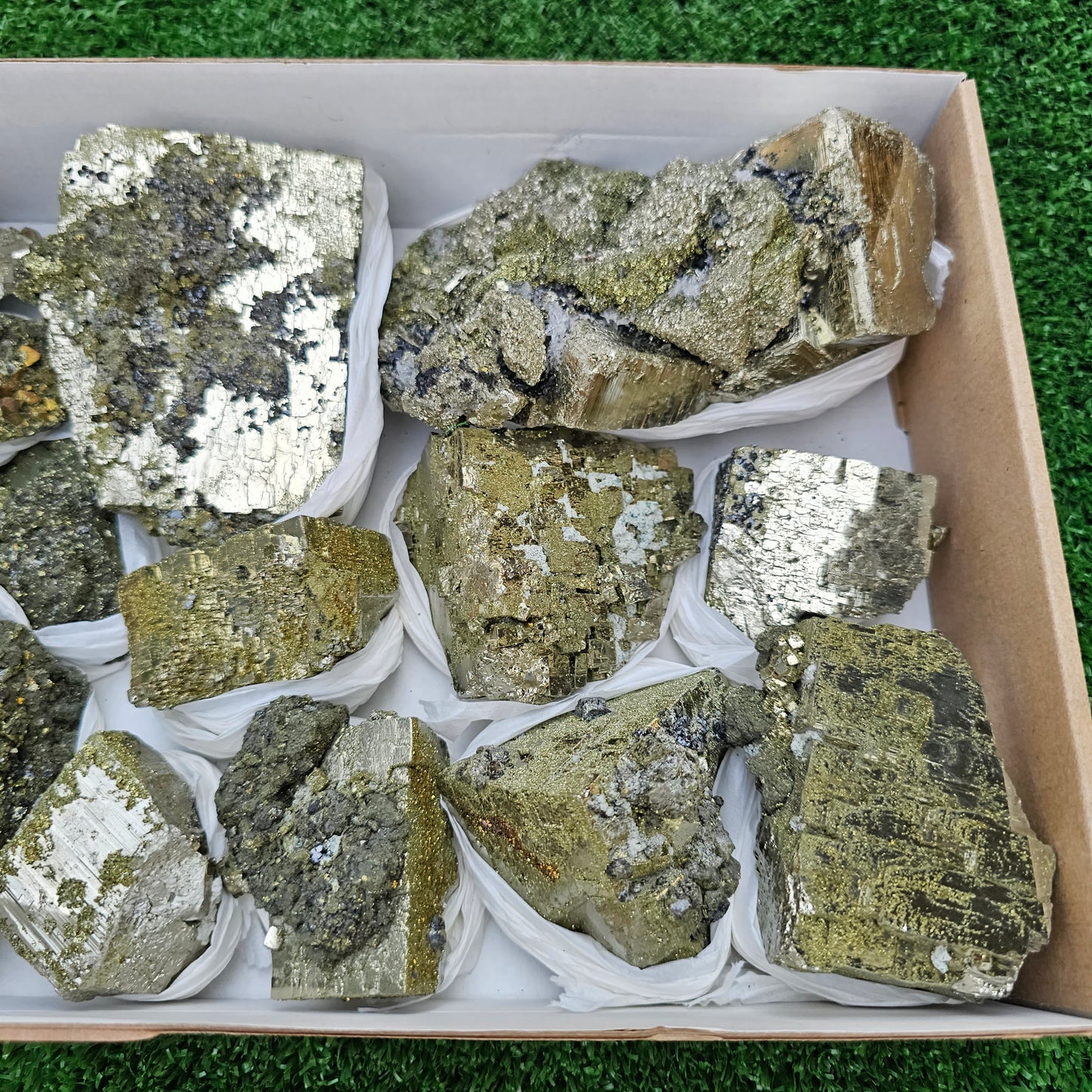 13 pc Pyrite Cubic with chalcopyrite