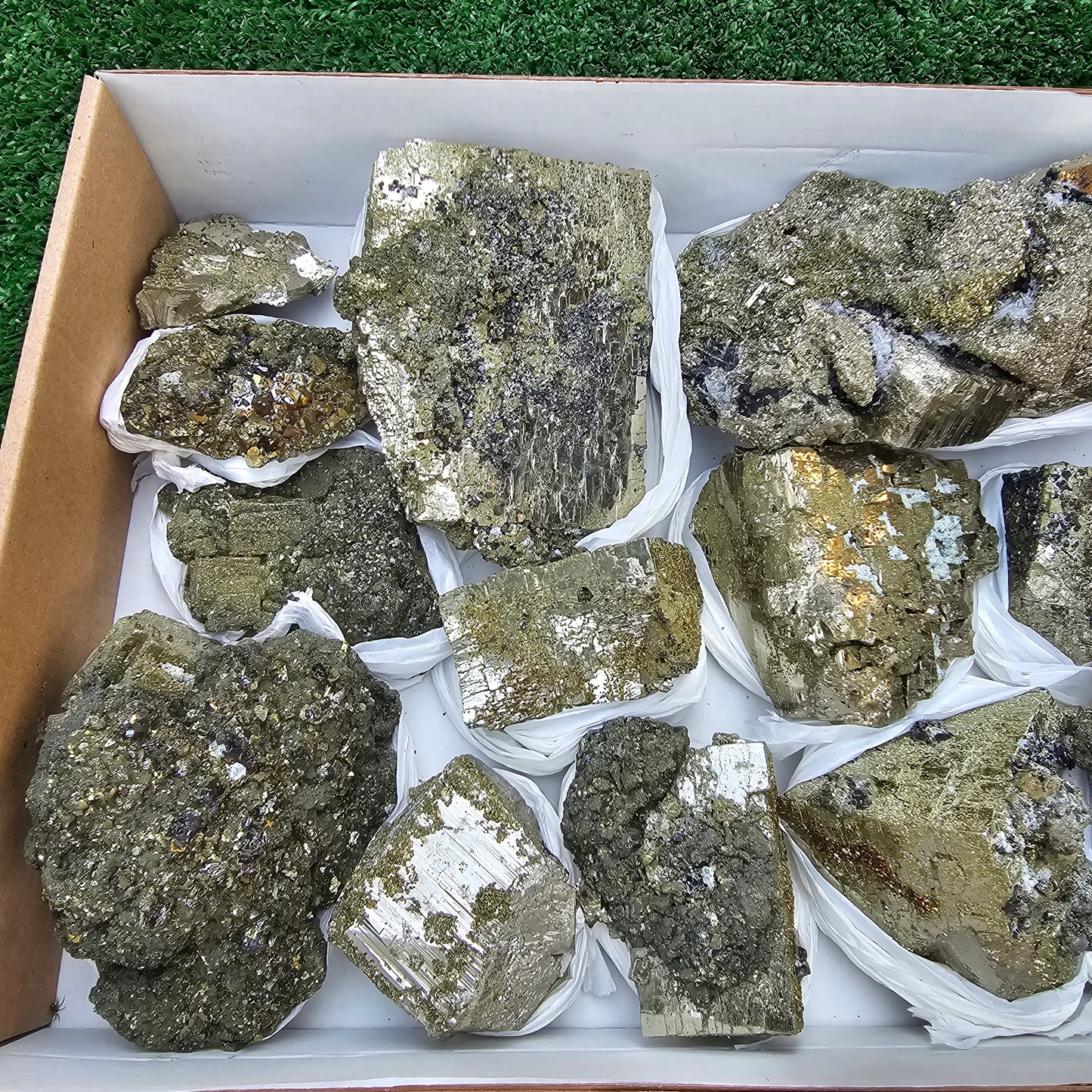 13 pc Pyrite Cubic with chalcopyrite