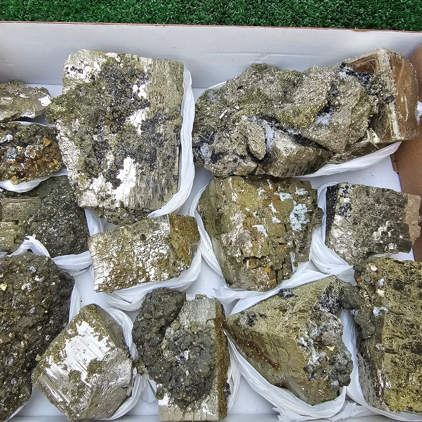 13 pc Pyrite Cubic with chalcopyrite