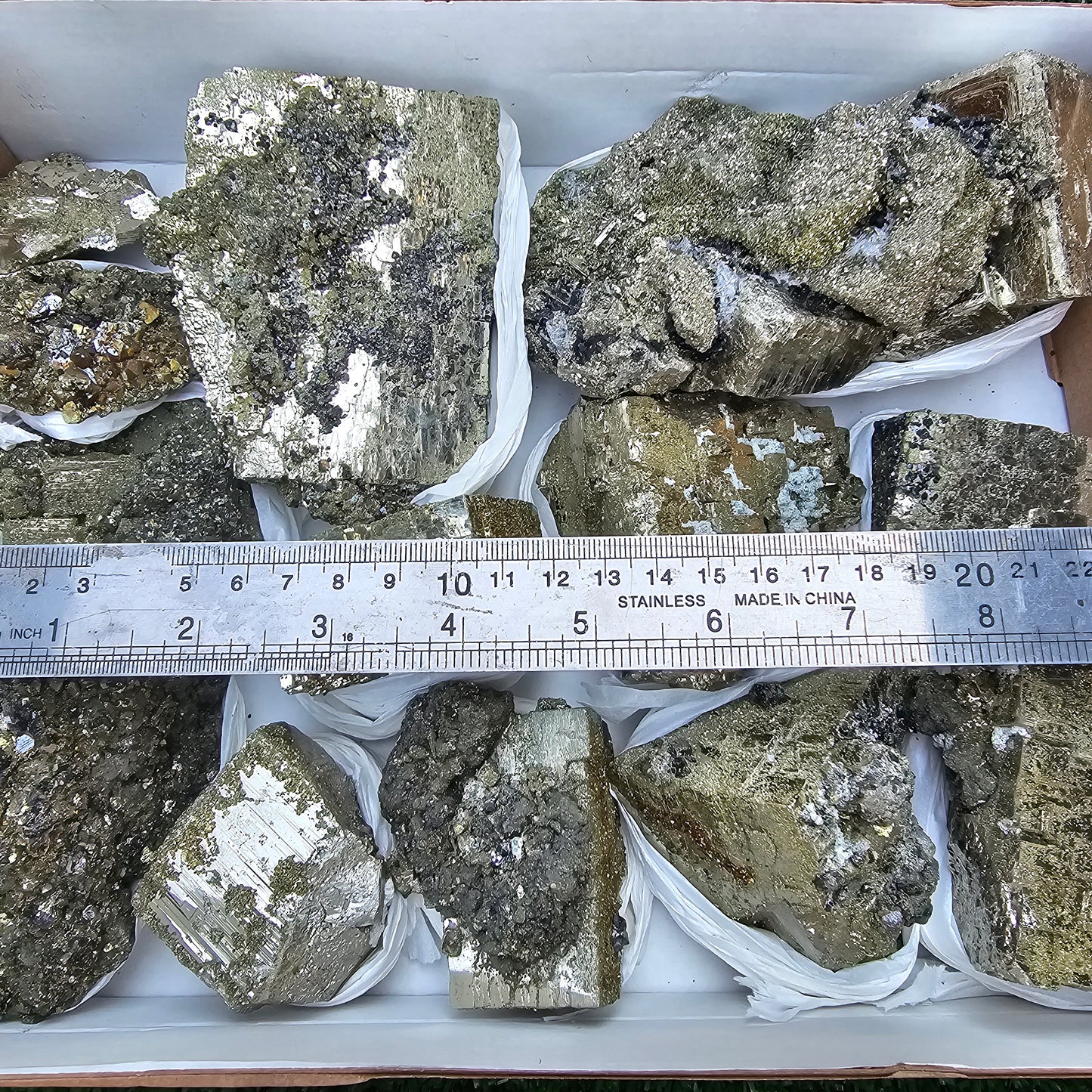 13 pc Pyrite Cubic with chalcopyrite